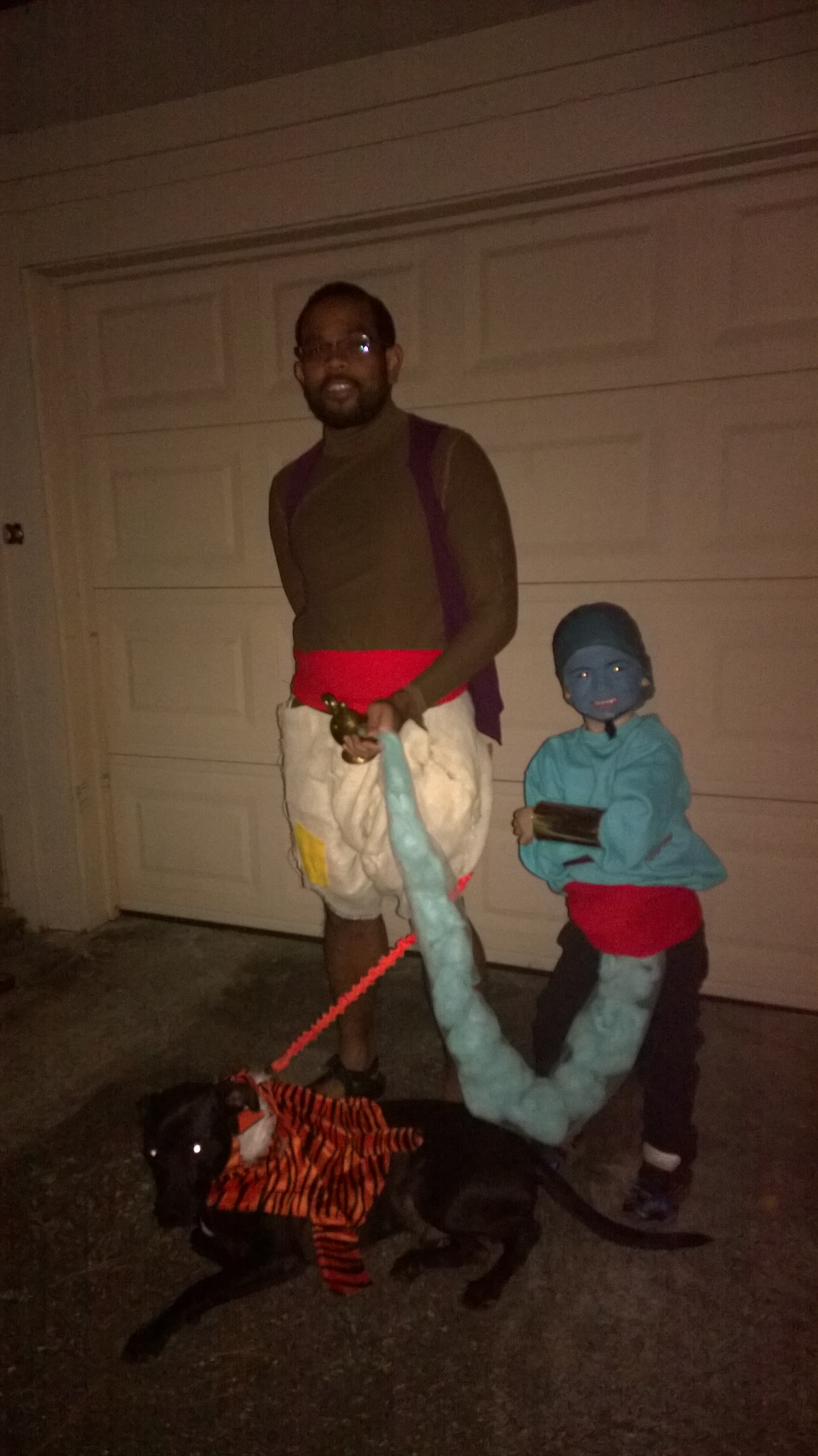 aladdin family costumes