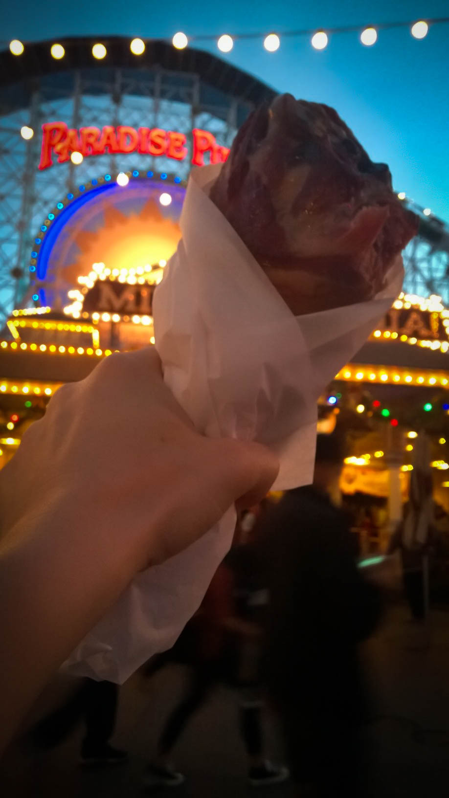 Turkey leg disneyland California adventure