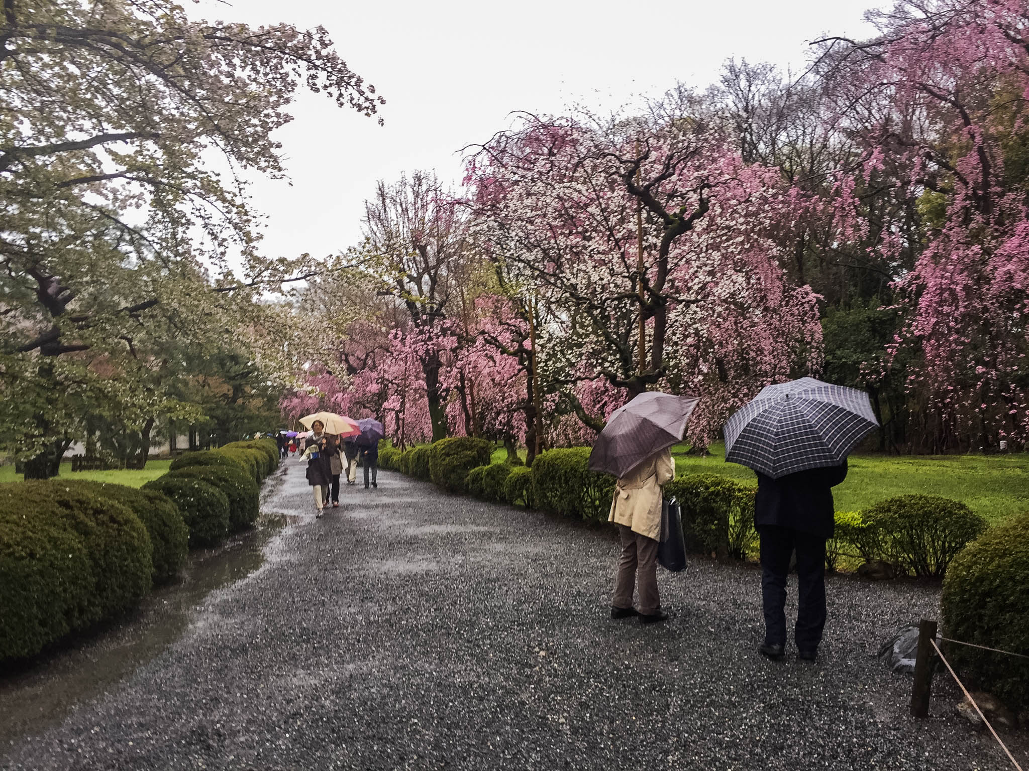 Arashiyama and Nijo Castle Kyoto (2)