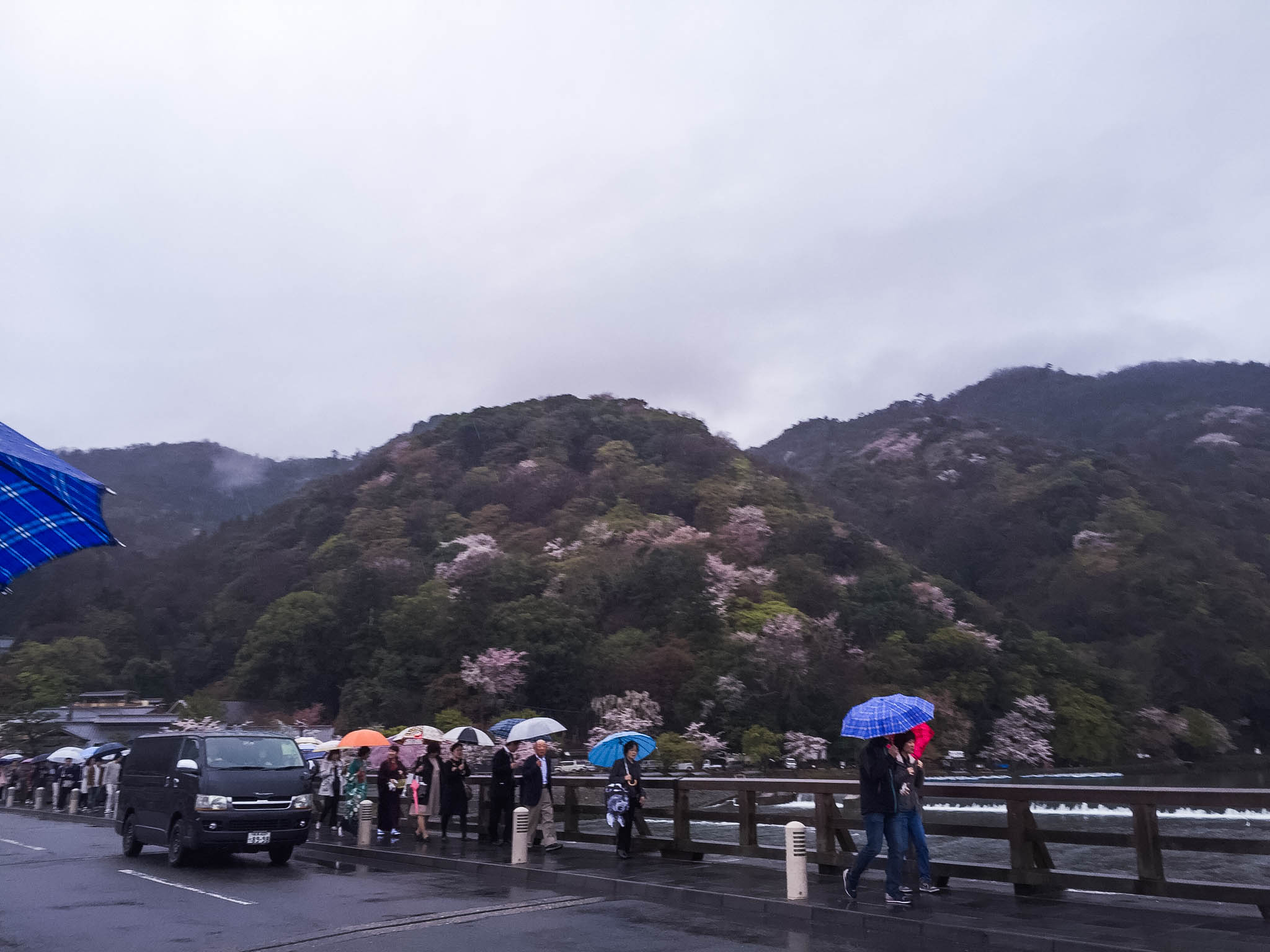 Arashiyama Monkeys and Bamboo Forest Kyoto (100 of 5)