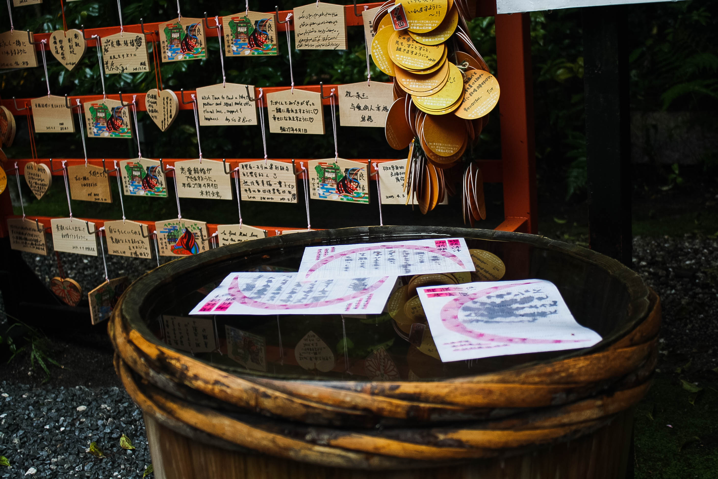 Arashiyama Monkeys and Bamboo Forest Kyoto (11 of 34)