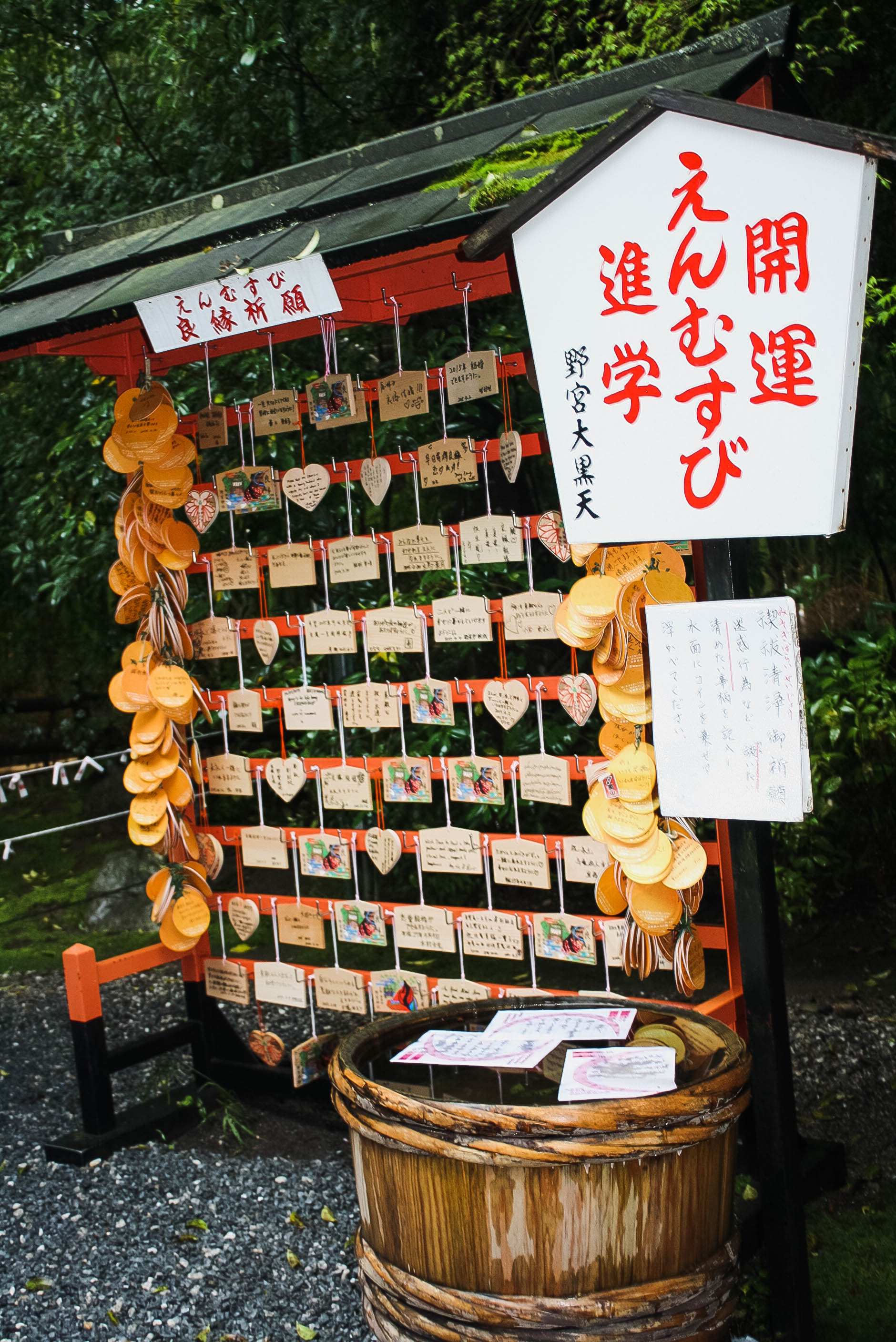 Arashiyama Monkeys and Bamboo Forest Kyoto (12 of 34)