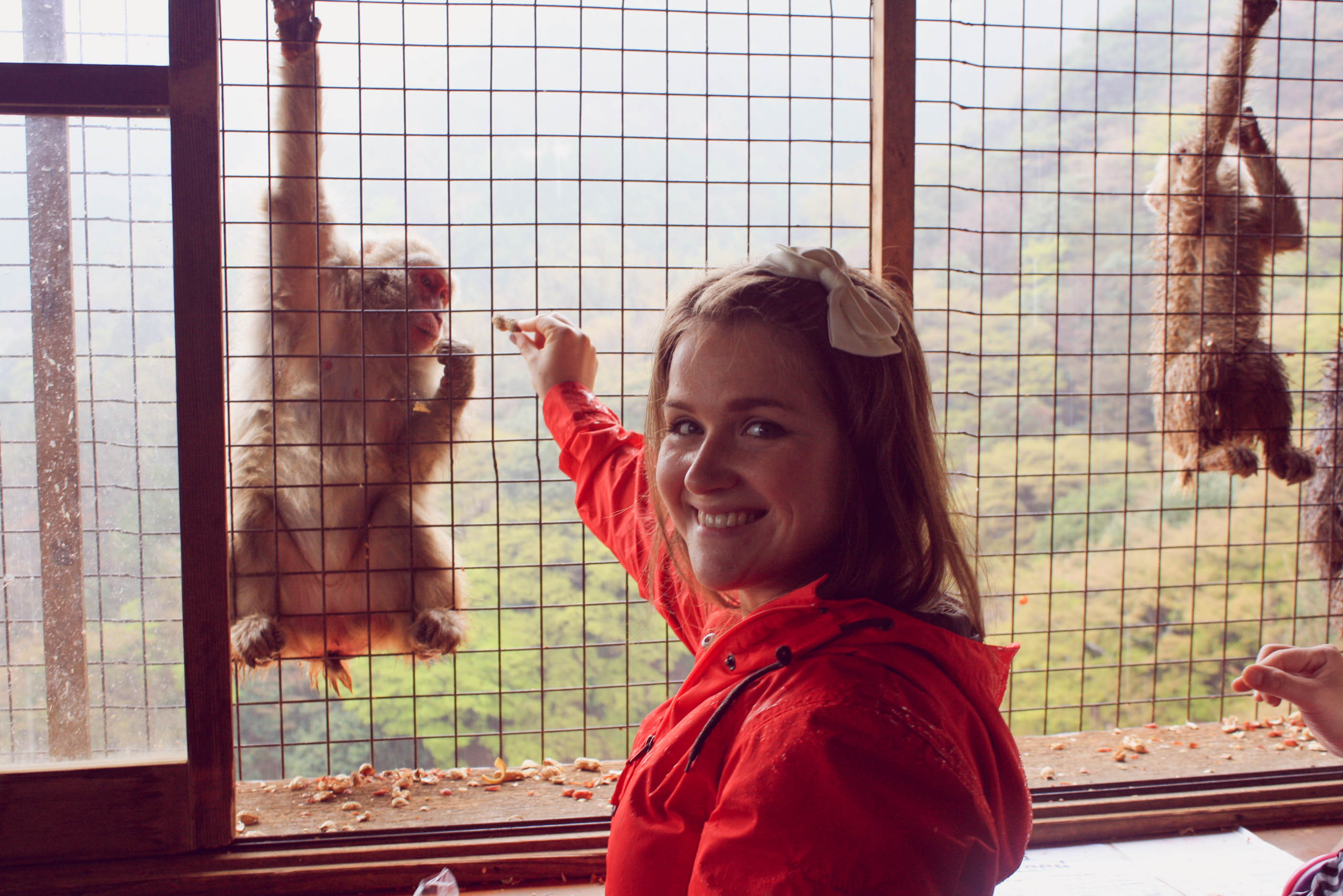 Arashiyama Monkeys and Bamboo Forest Kyoto (16 of 34)