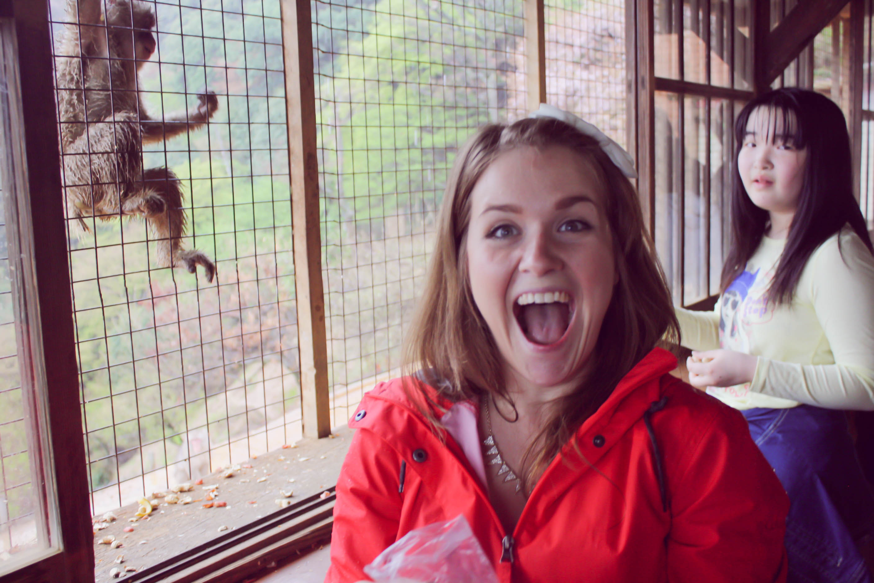 Arashiyama Monkeys and Bamboo Forest Kyoto (19 of 34)