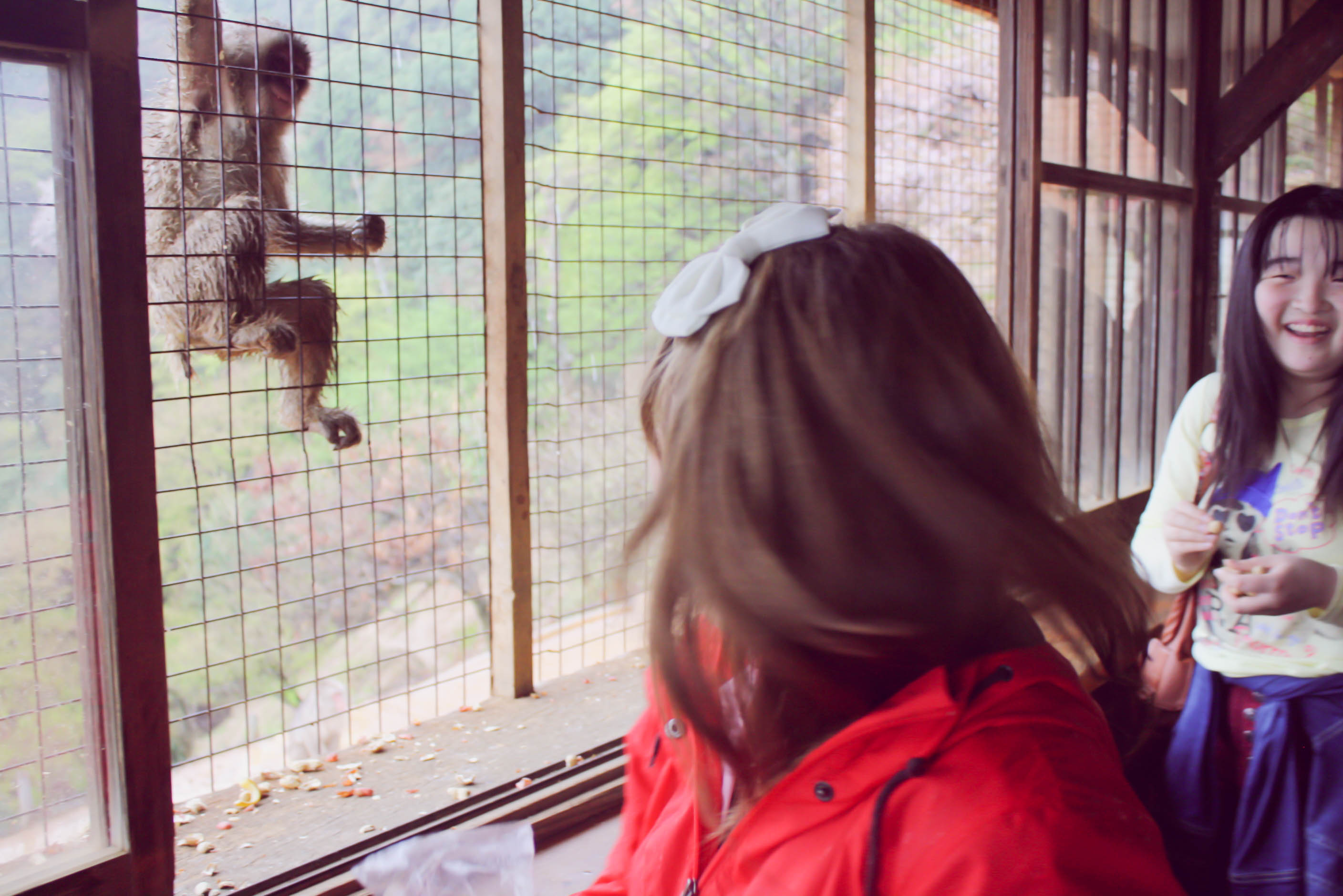 Arashiyama Monkeys and Bamboo Forest Kyoto (20 of 34)