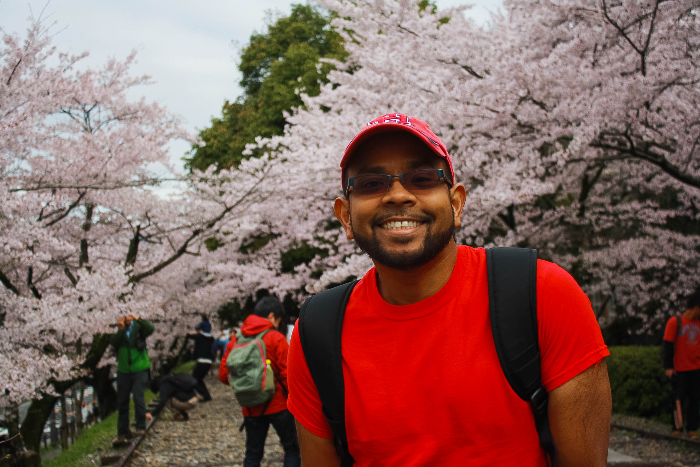 cherry blossom season kyoto Mark