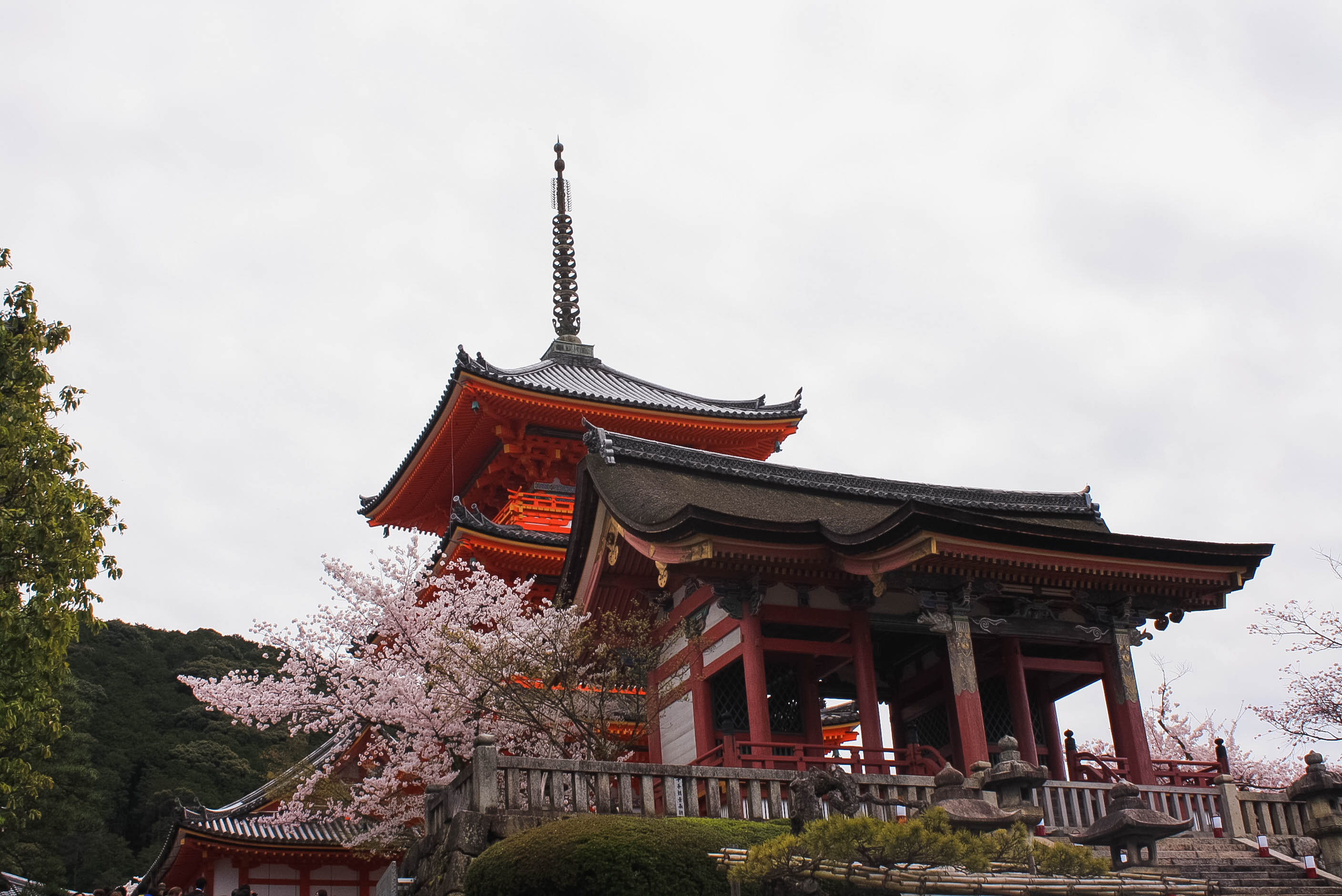 Kiyomizu-dera temple in Kyoto