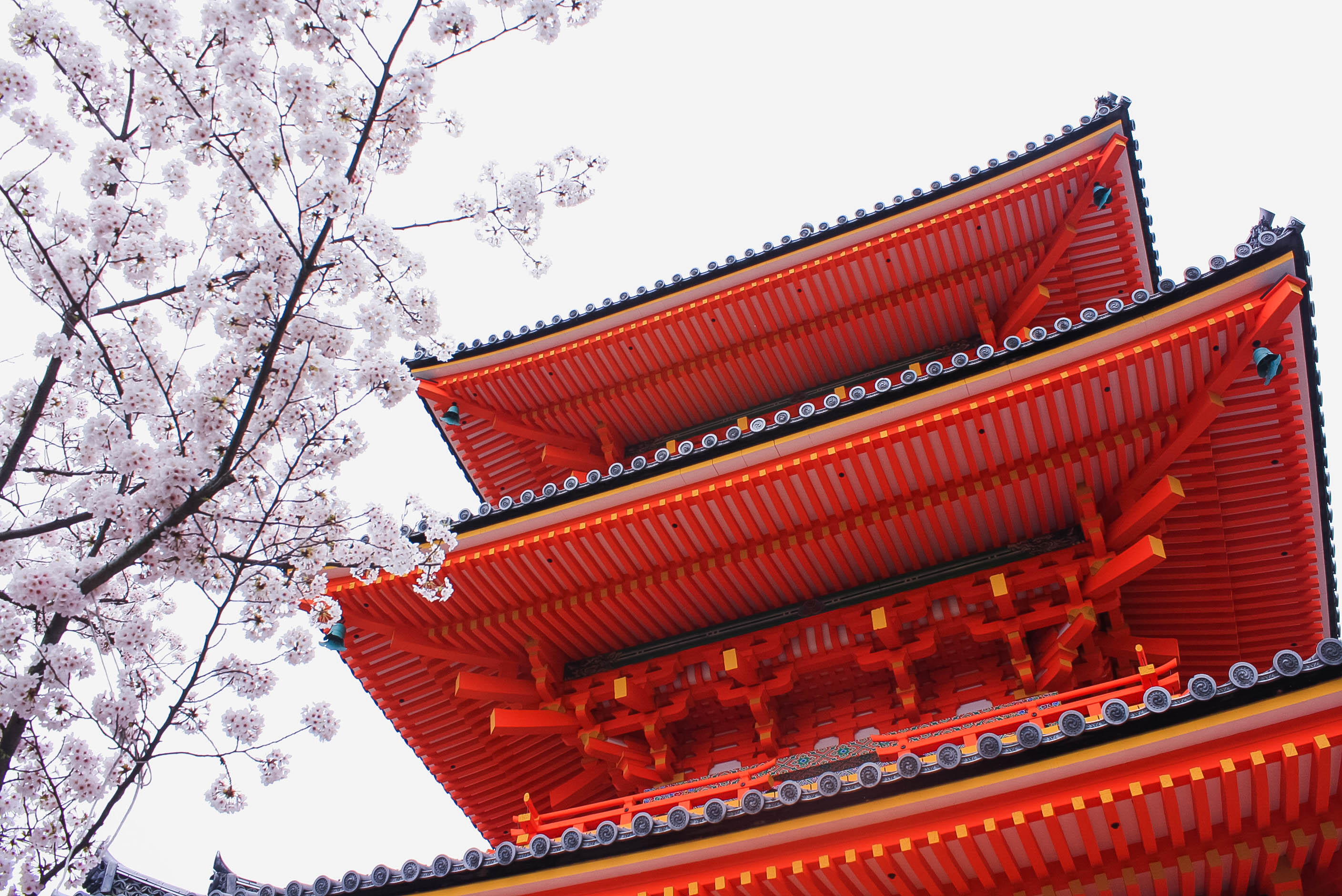 Kiyomizu-dera temple in Kyoto