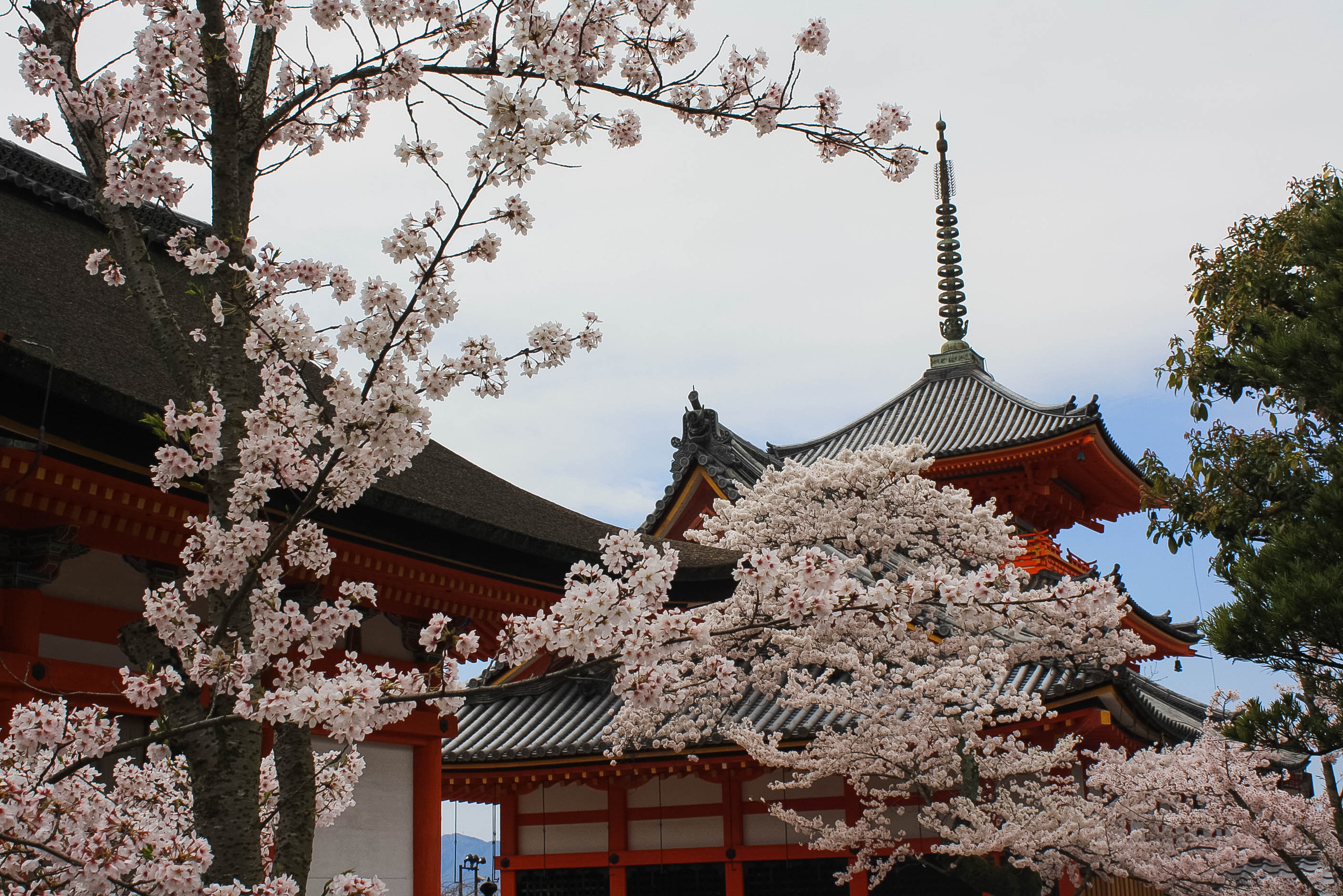 Kiyomizu-dera temple in Kyoto