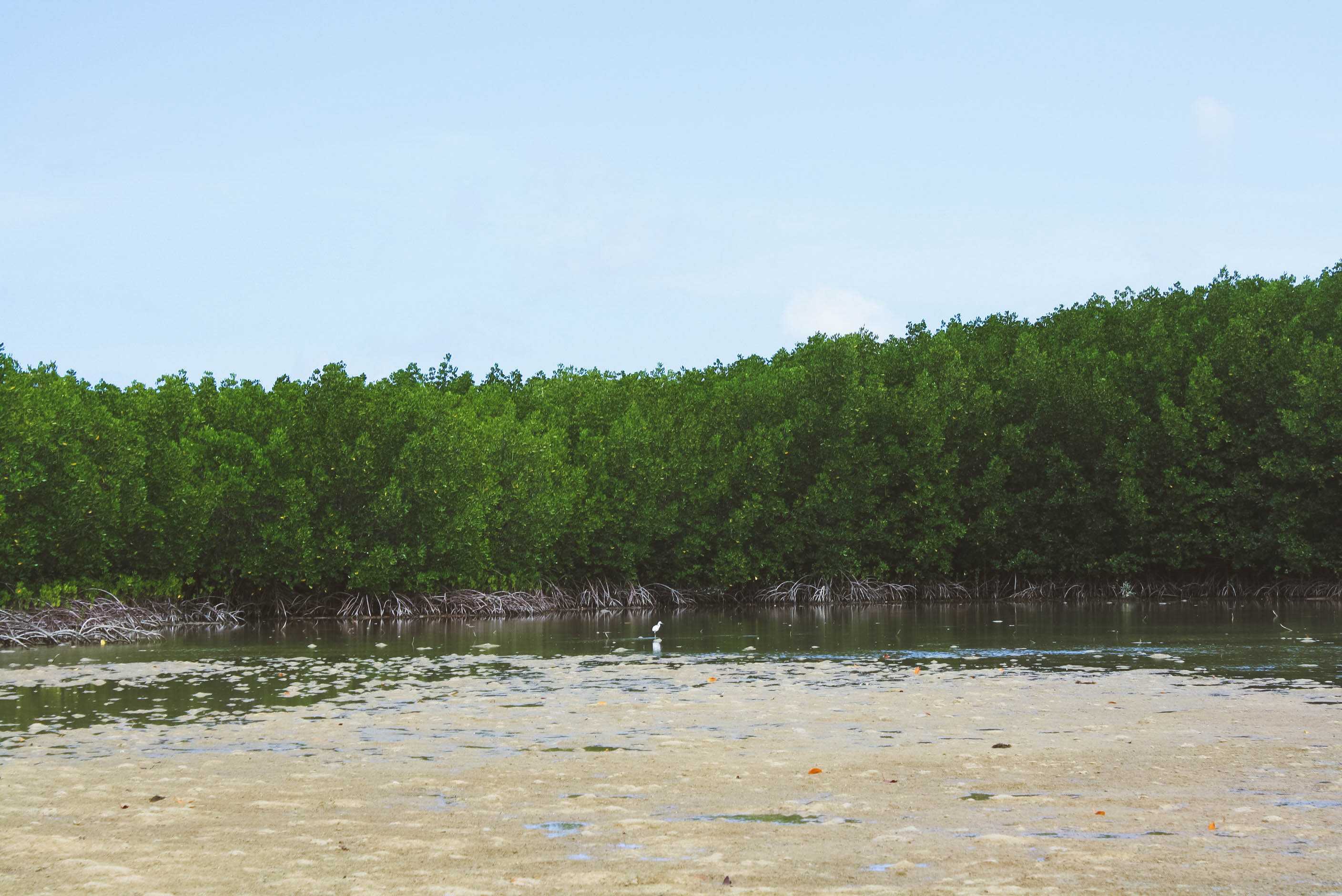 Puerto Princessa Underground River and Palawan Honda Bay Island Hopping (12 of 37)