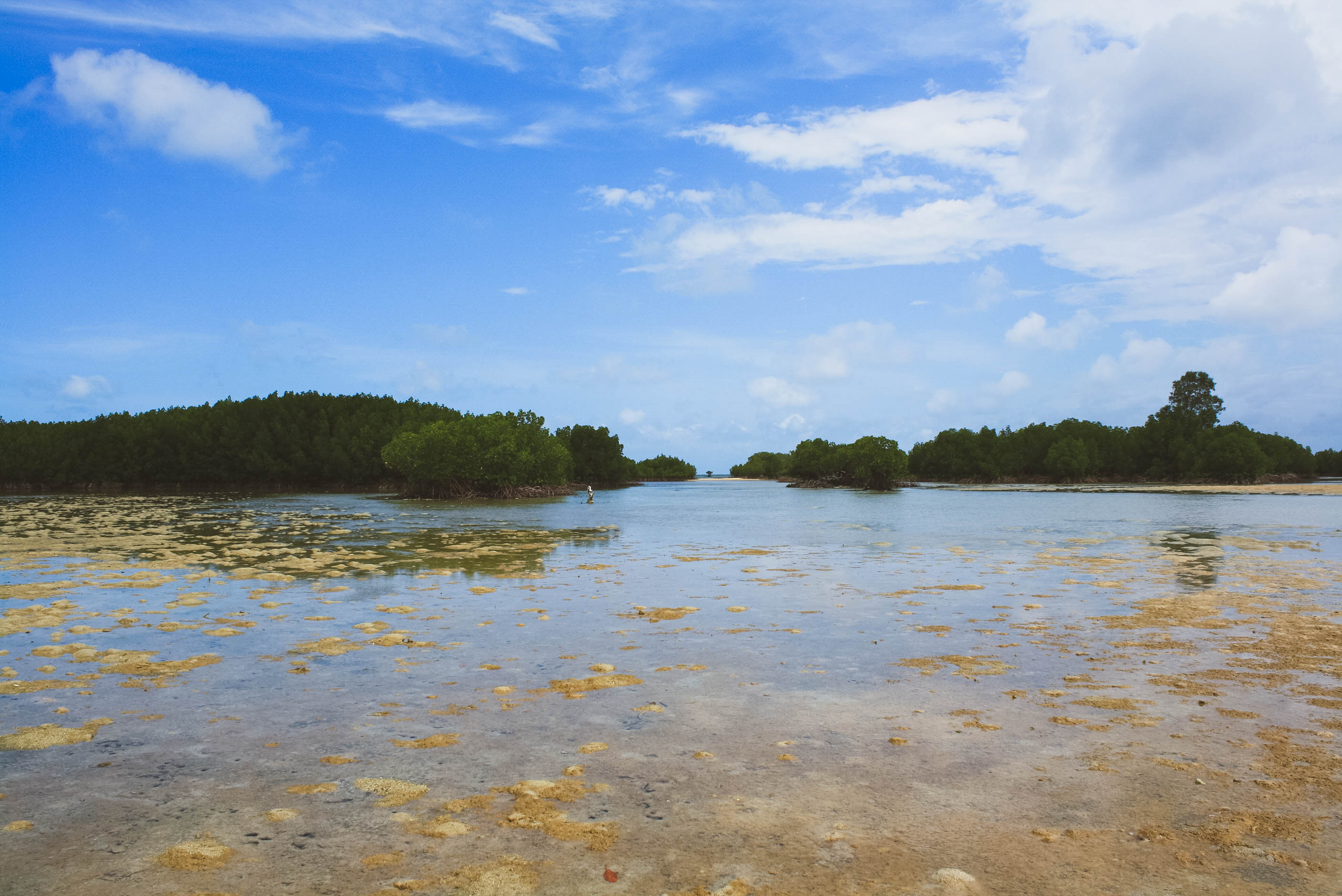 Puerto Princessa Underground River and Palawan Honda Bay Island Hopping (6 of 37)