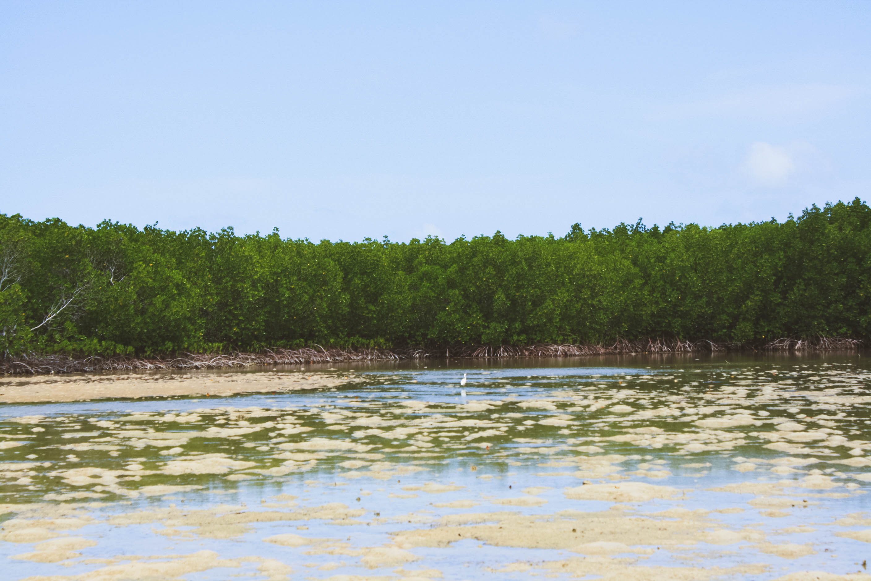 Puerto Princessa Underground River and Palawan Honda Bay Island Hopping (7 of 37)