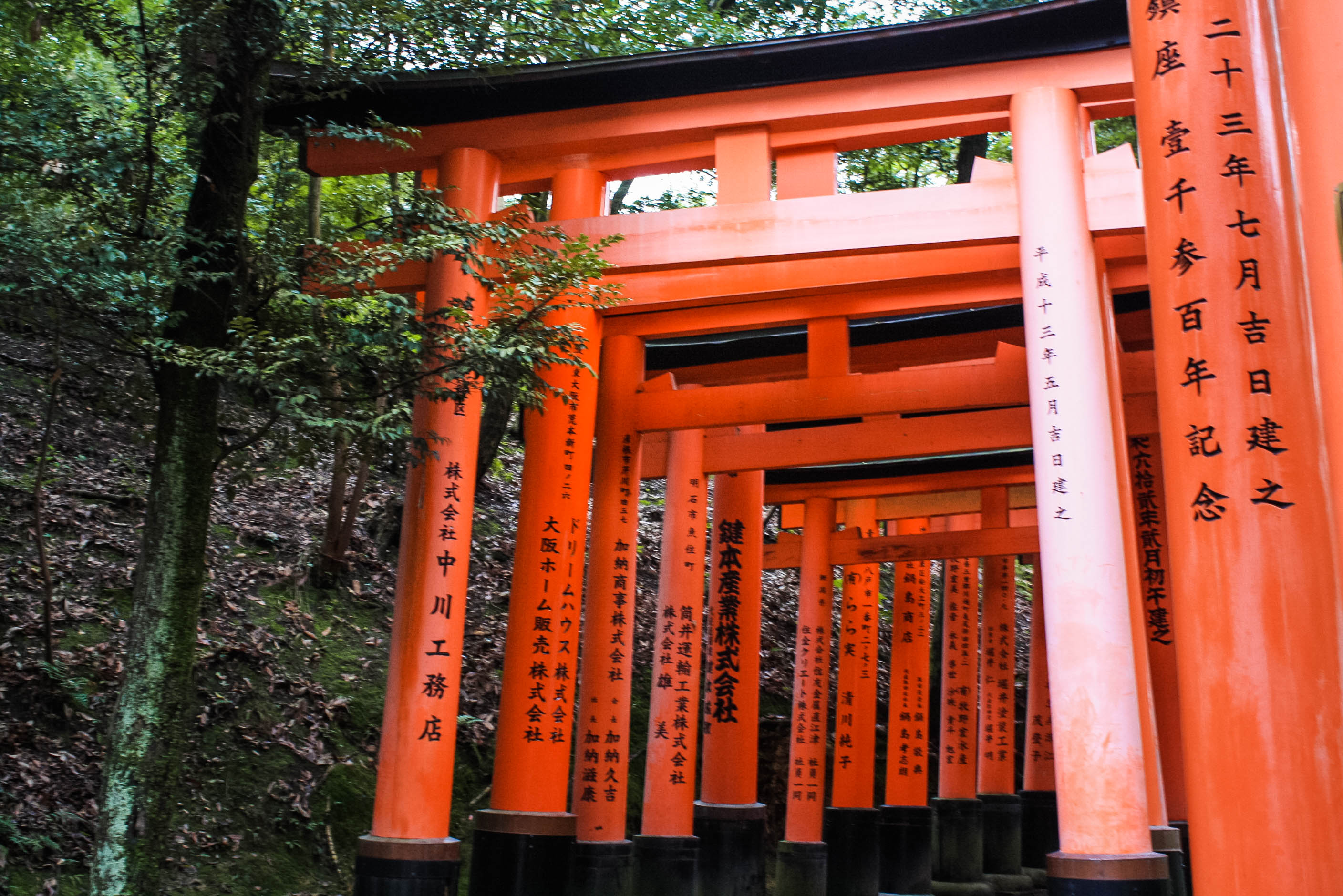 Shinto God of Rice, Tea Ceremony, Traditonal Japanese meal (12 of 51)