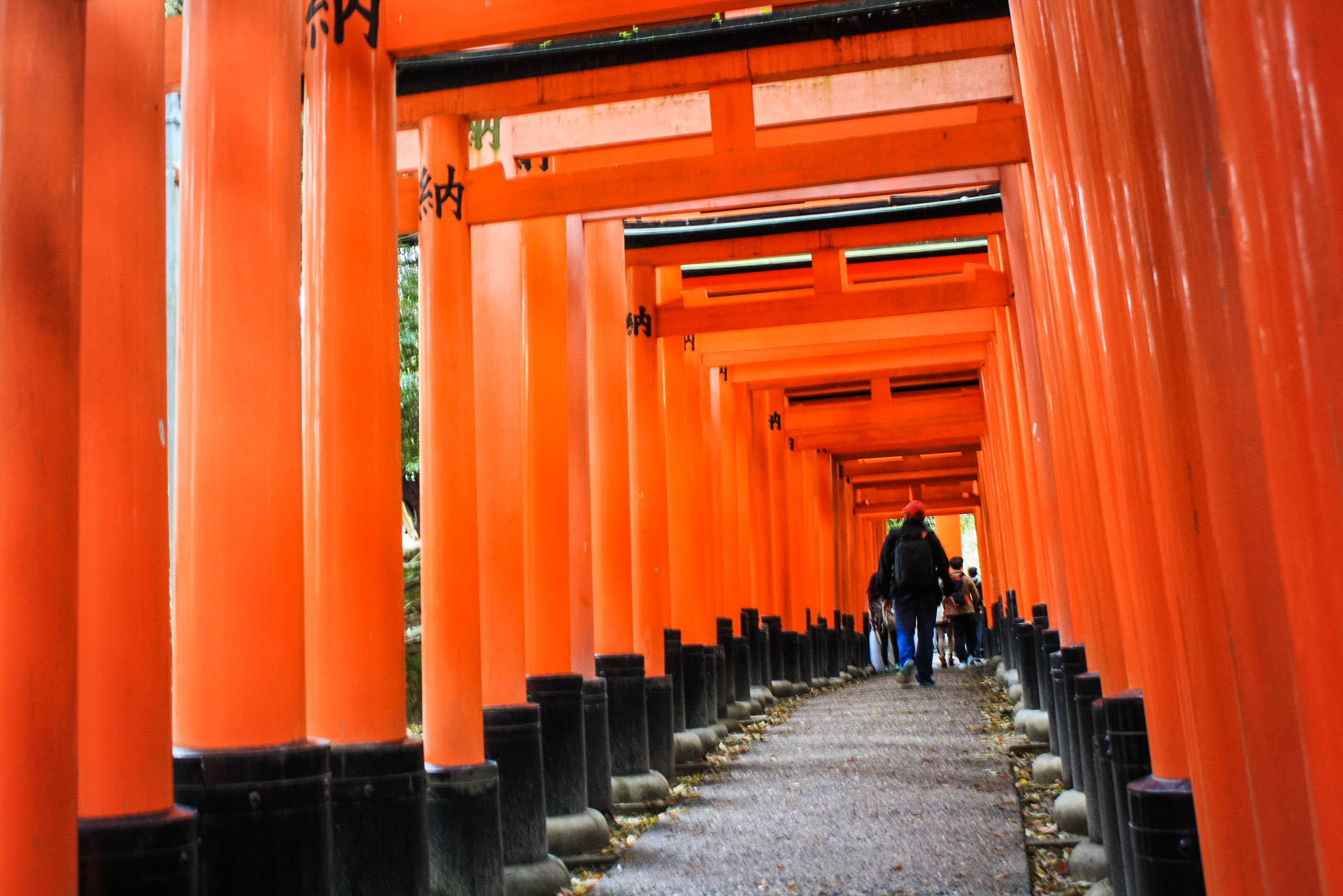 Shinto God of Rice, Tea Ceremony, Traditonal Japanese meal (13 of 35)