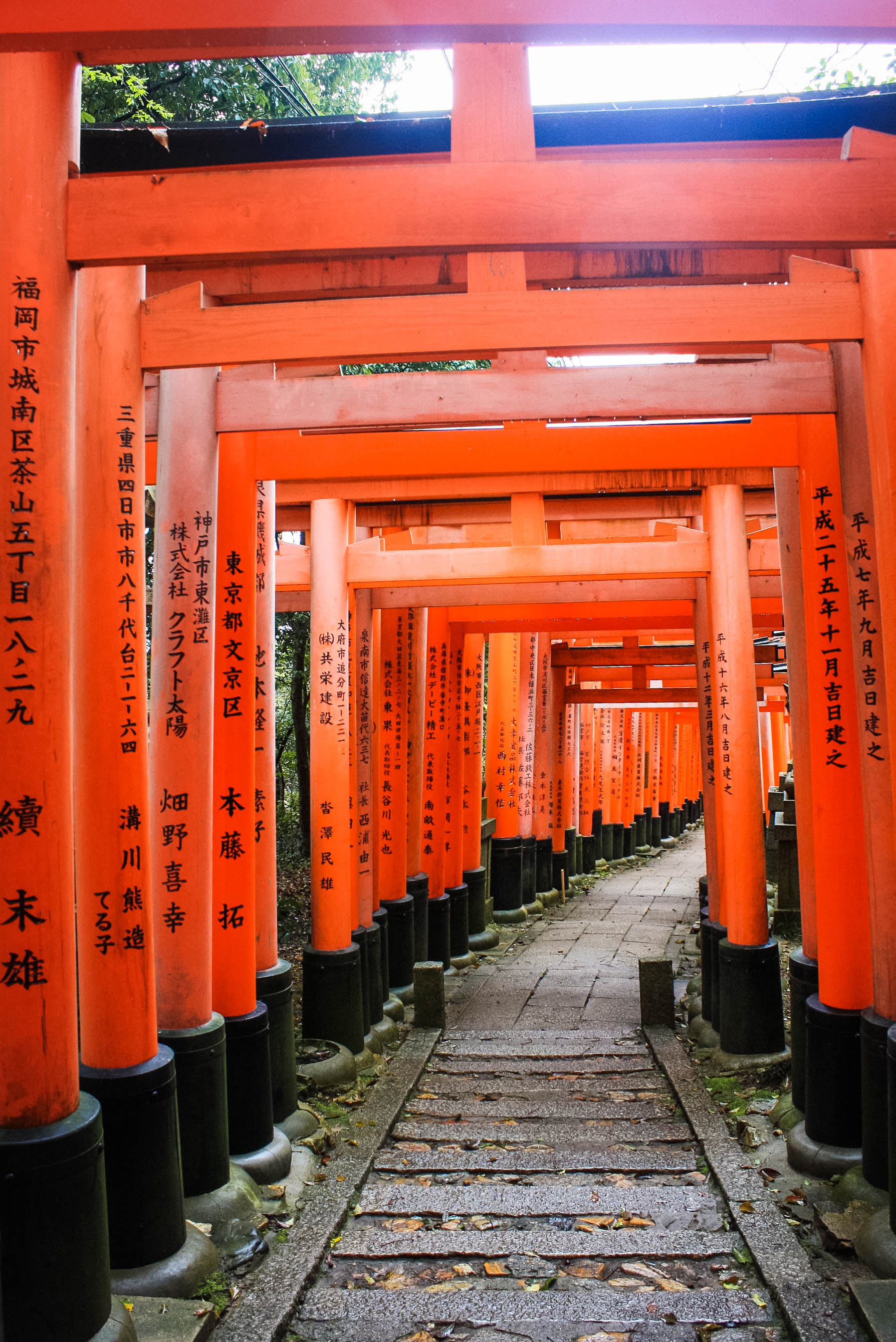 Shinto God of Rice, Tea Ceremony, Traditonal Japanese meal (20 of 35)