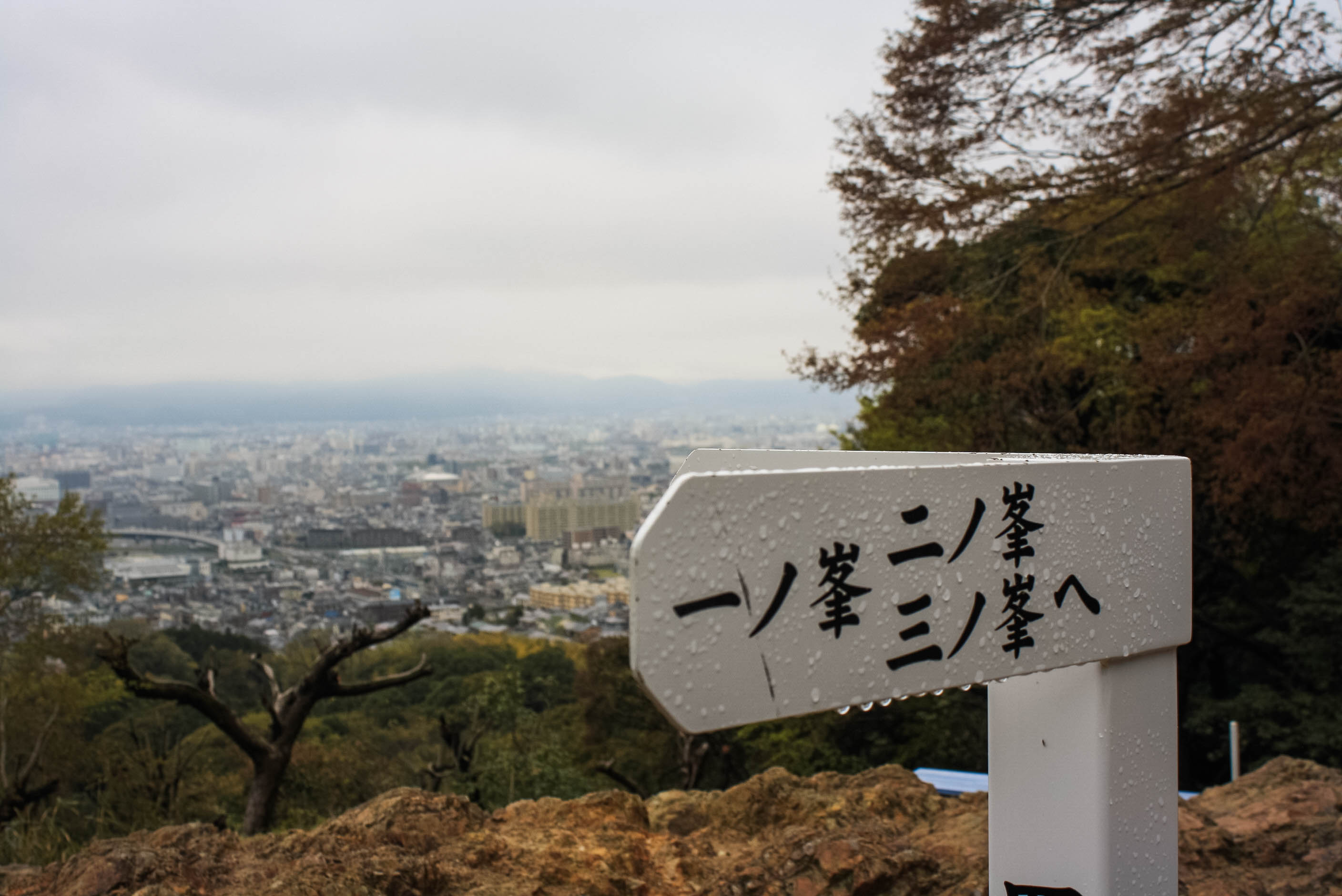 Shinto God of Rice, Tea Ceremony, Traditonal Japanese meal (22 of 35)