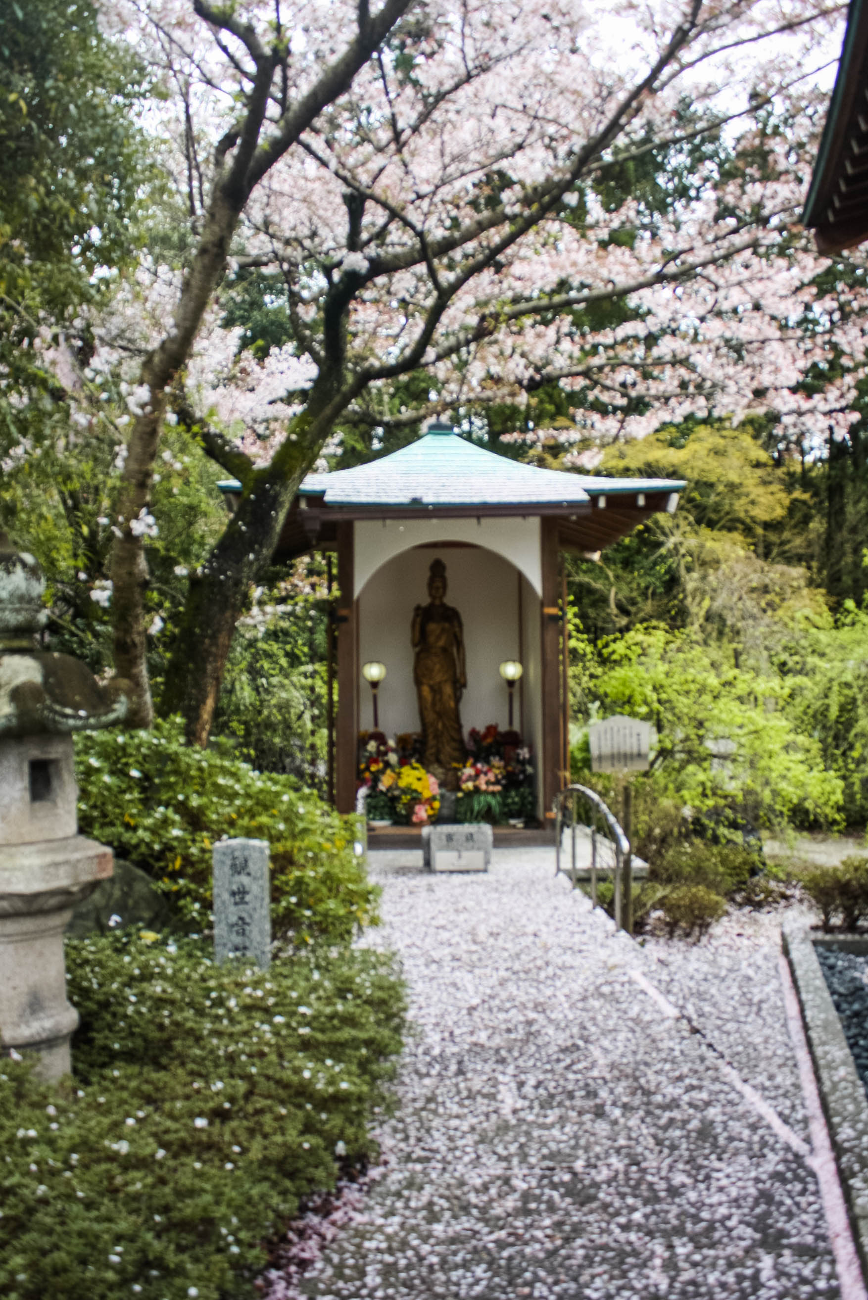 Shinto God of Rice, Tea Ceremony, Traditonal Japanese meal (25 of 35)