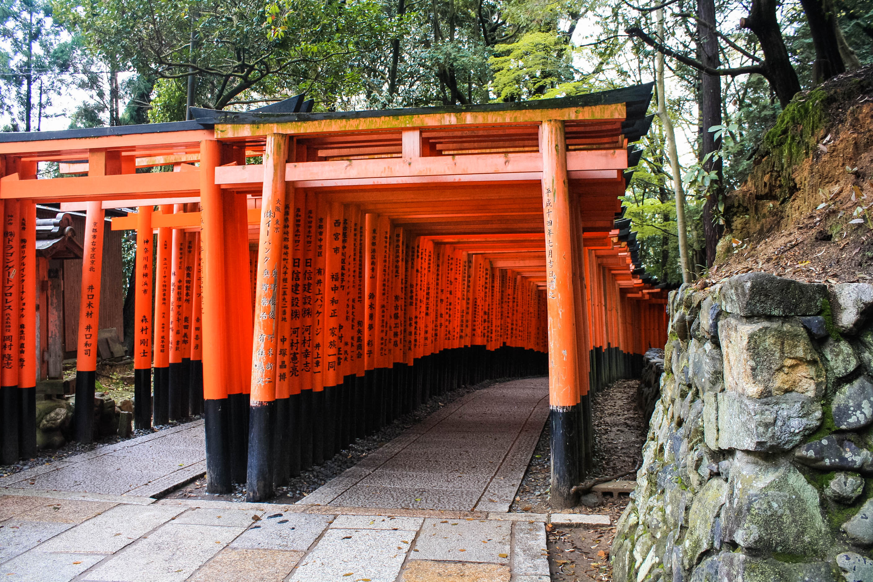 Shinto God of Rice, Tea Ceremony, Traditonal Japanese meal (8 of 51)