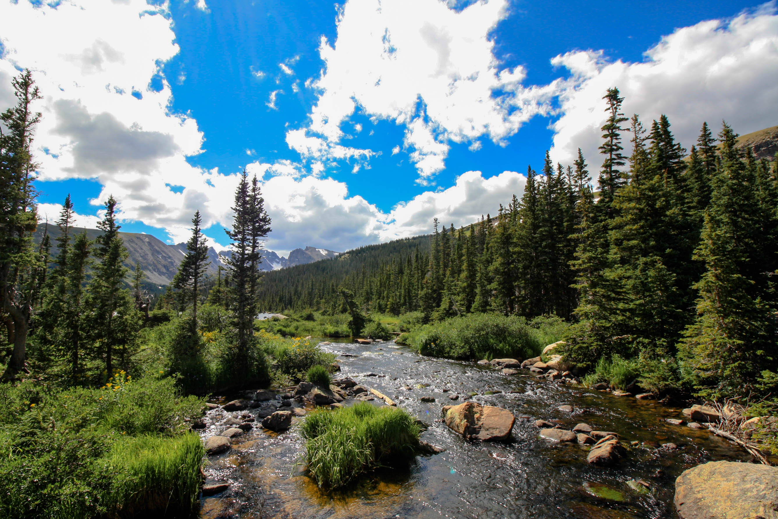 Indian Peaks Wilderness Trail in Boulder Colorado