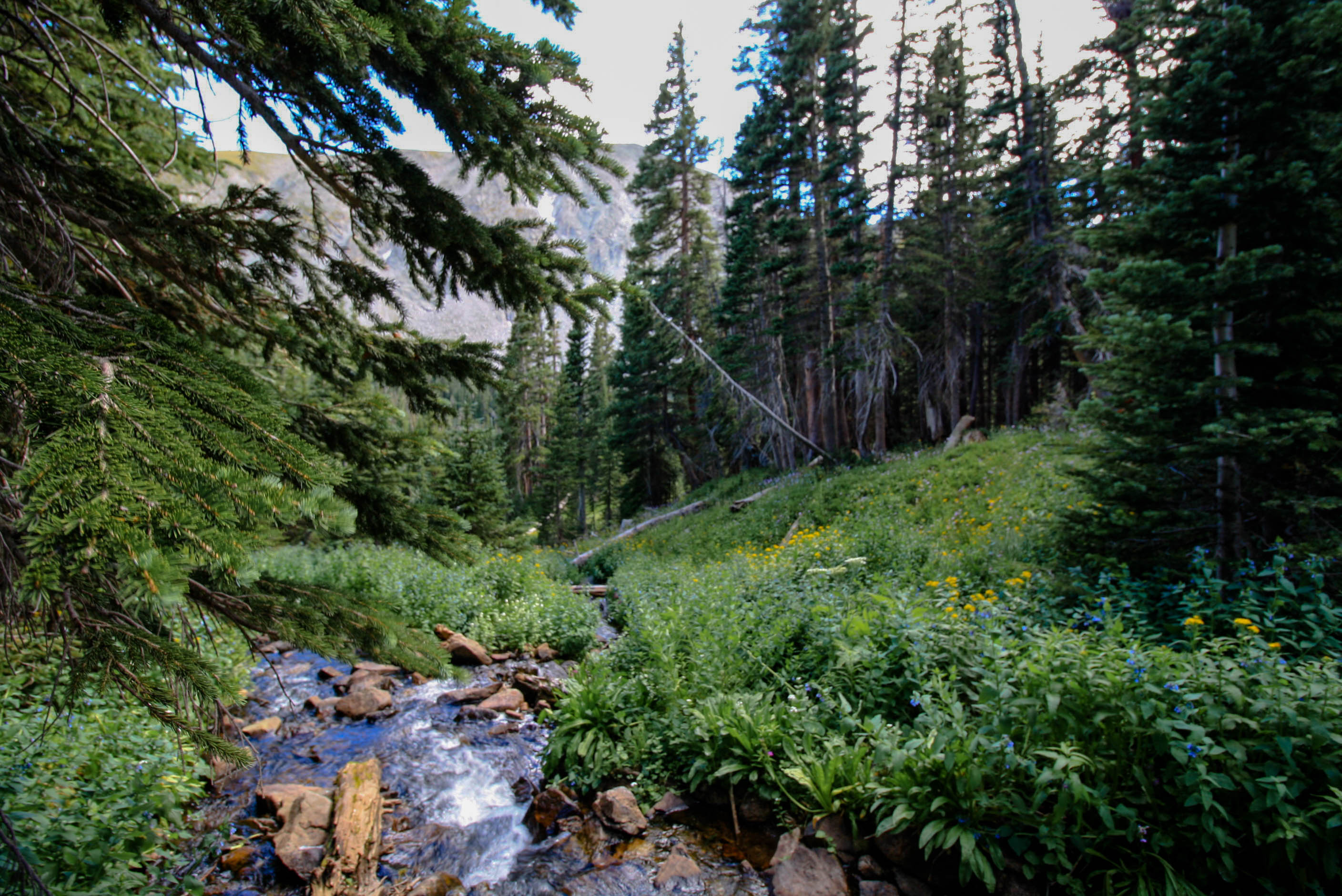 Indian Peaks Wilderness Trail in Boulder Colorado