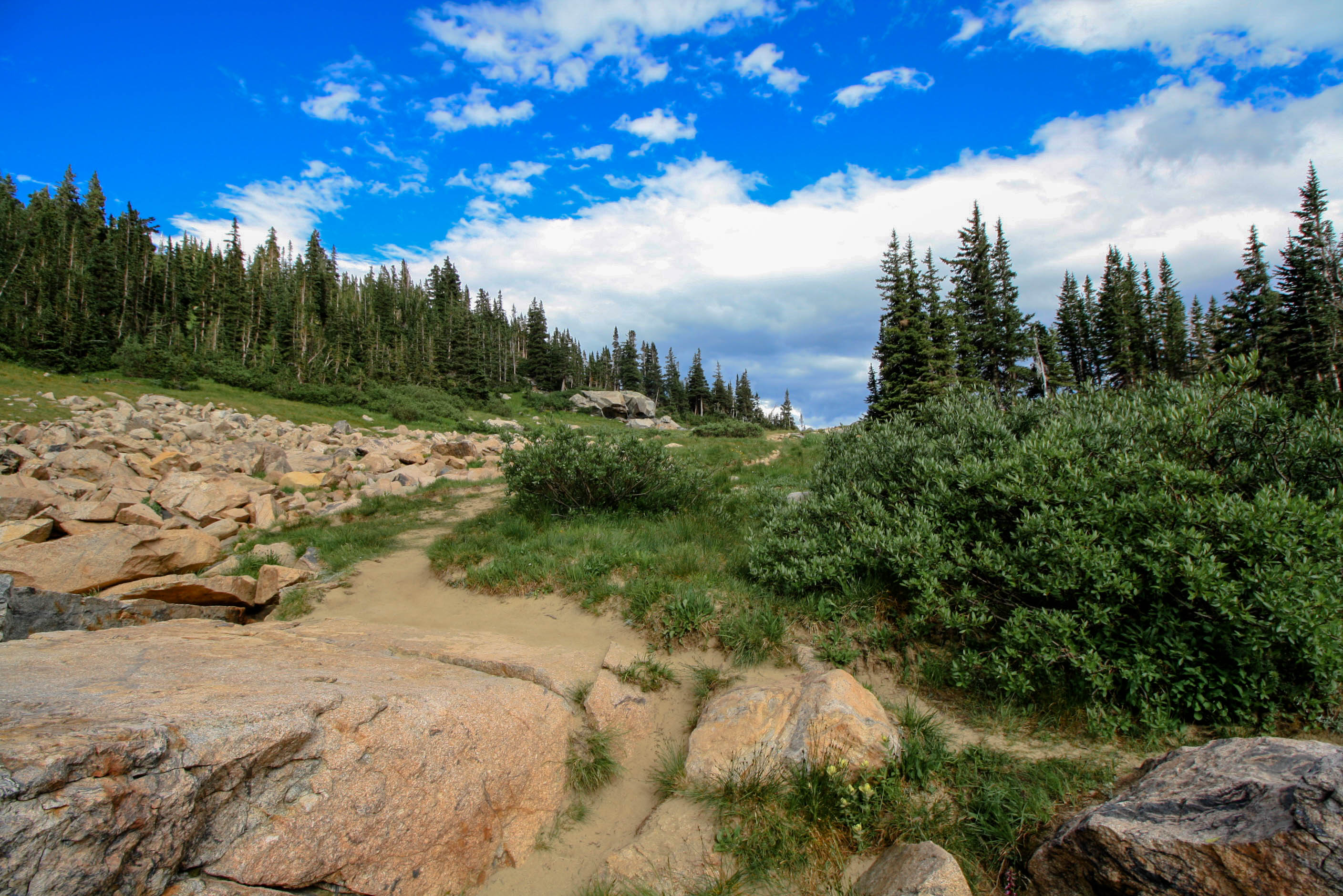 Indian Peaks Wilderness Trail in Boulder Colorado