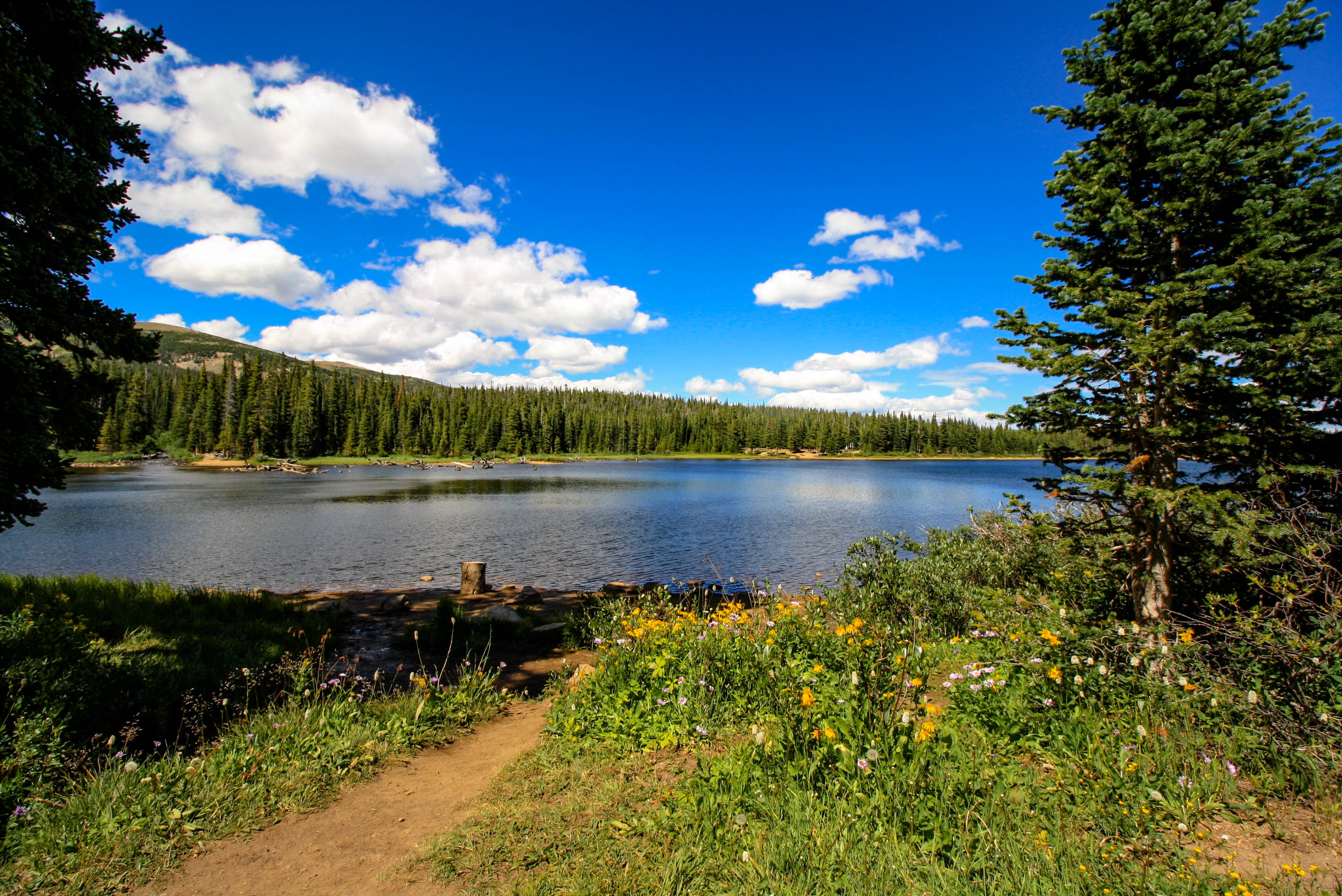 Indian Peaks Wilderness Trail in Boulder Colorado