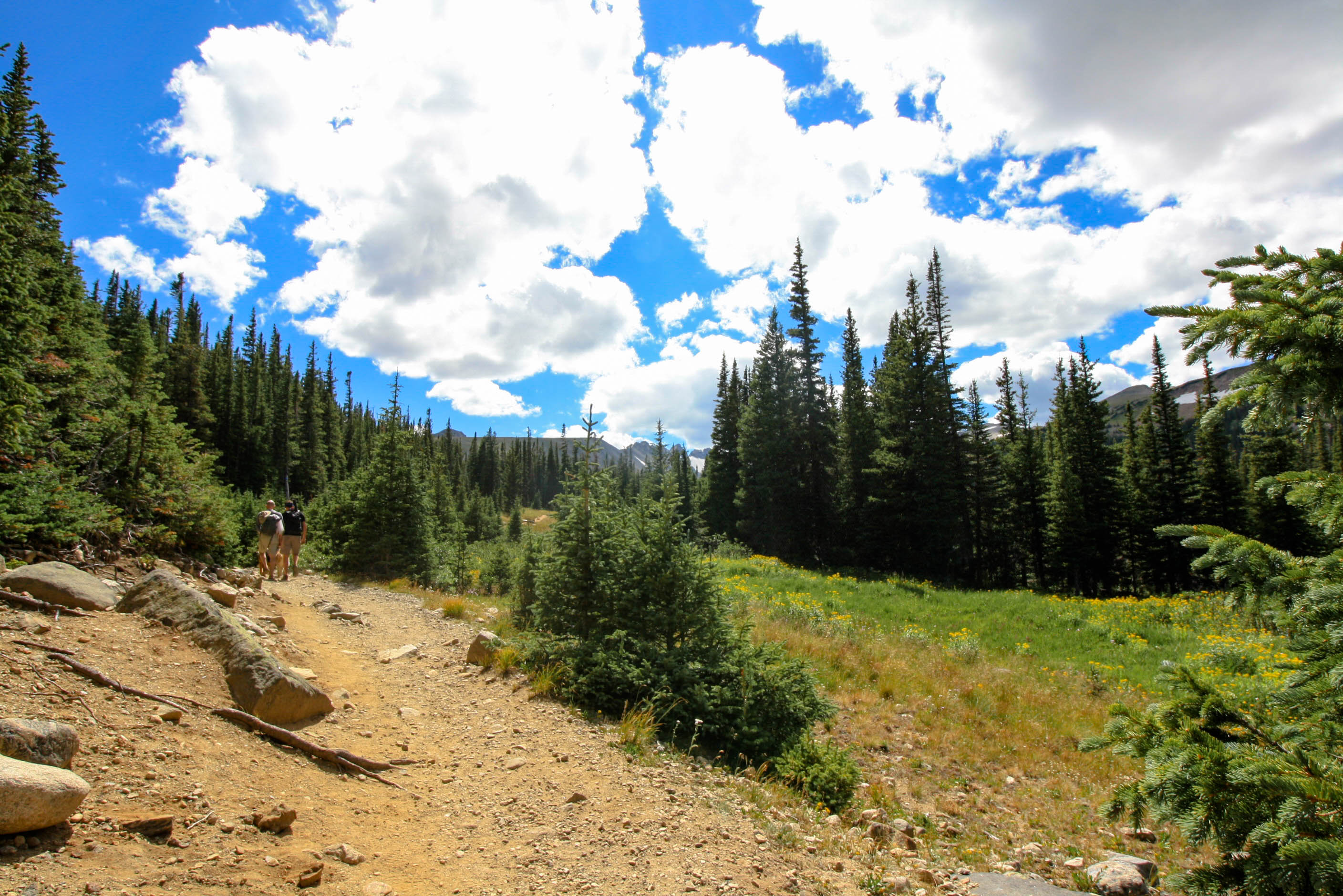 Indian Peaks Wilderness Trail in Boulder Colorado