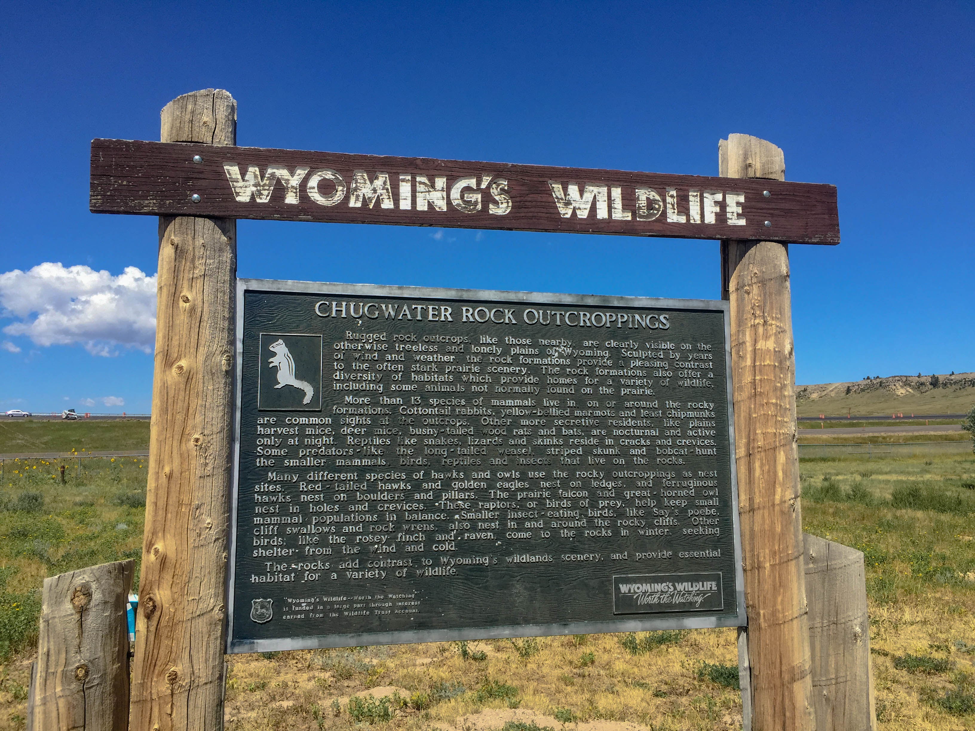 Wyoming Wildlife