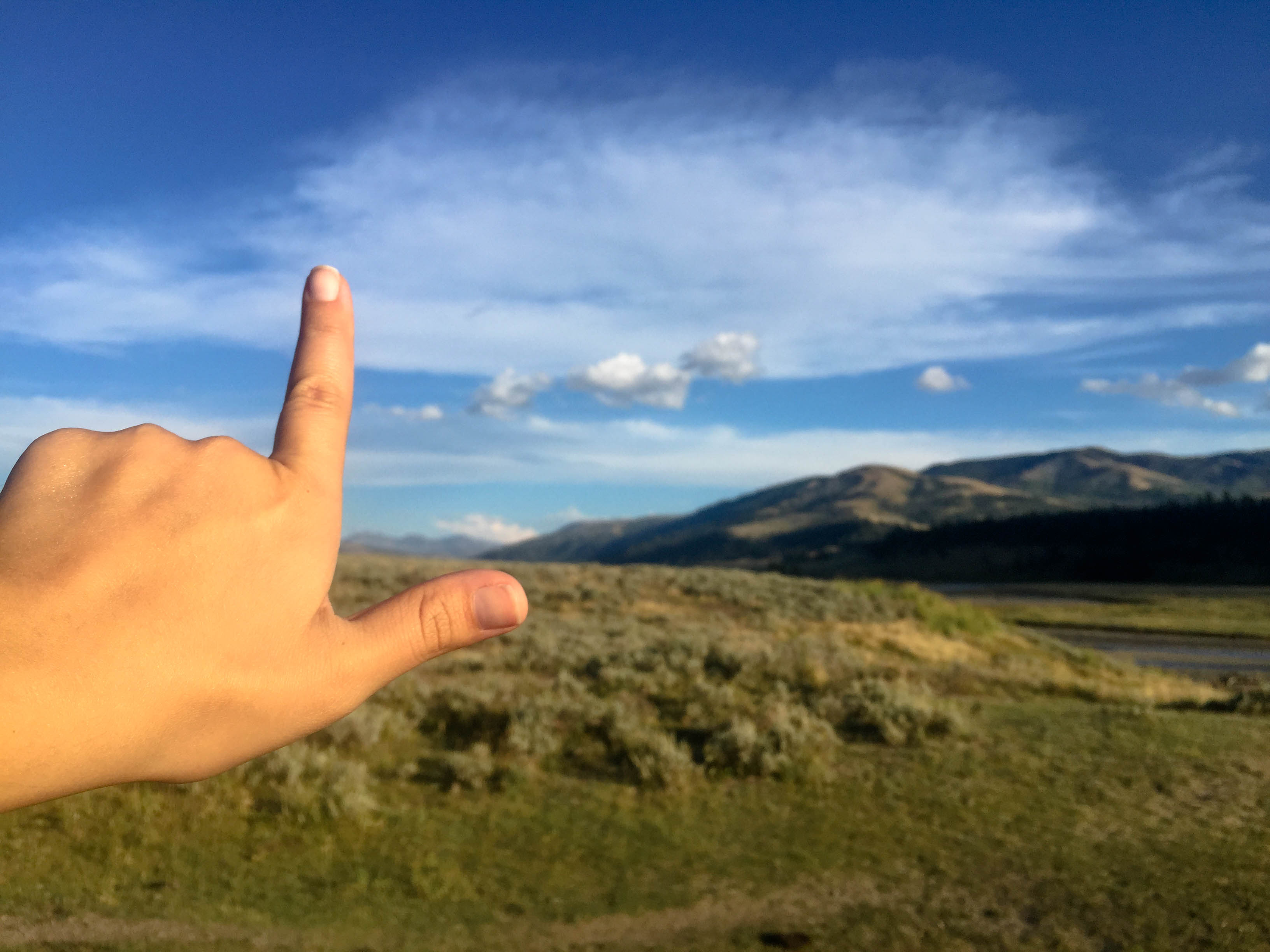 Lamar Valley in Yellowstone National Park