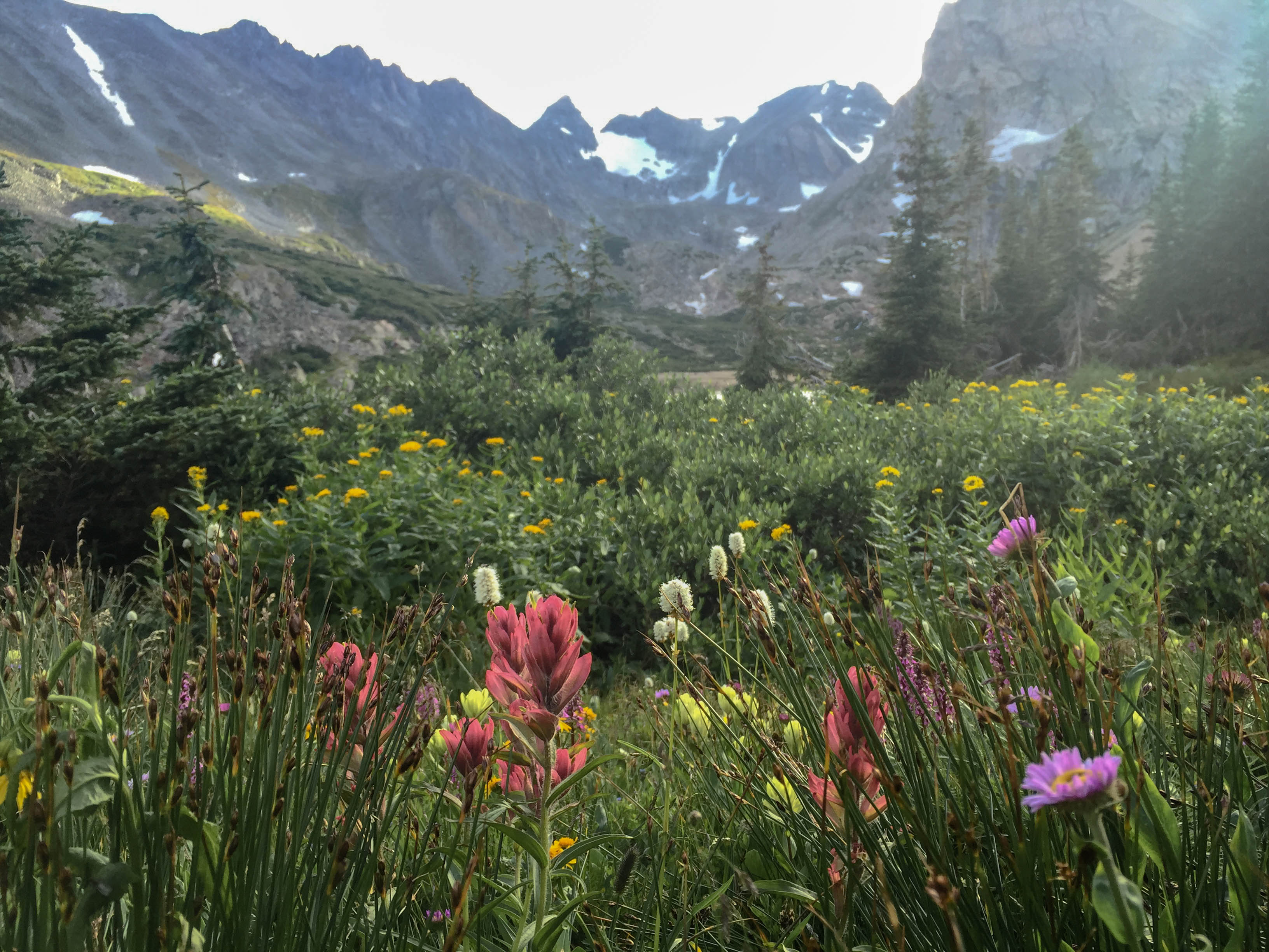 Indian Peaks Wilderness Trail in Boulder Colorado