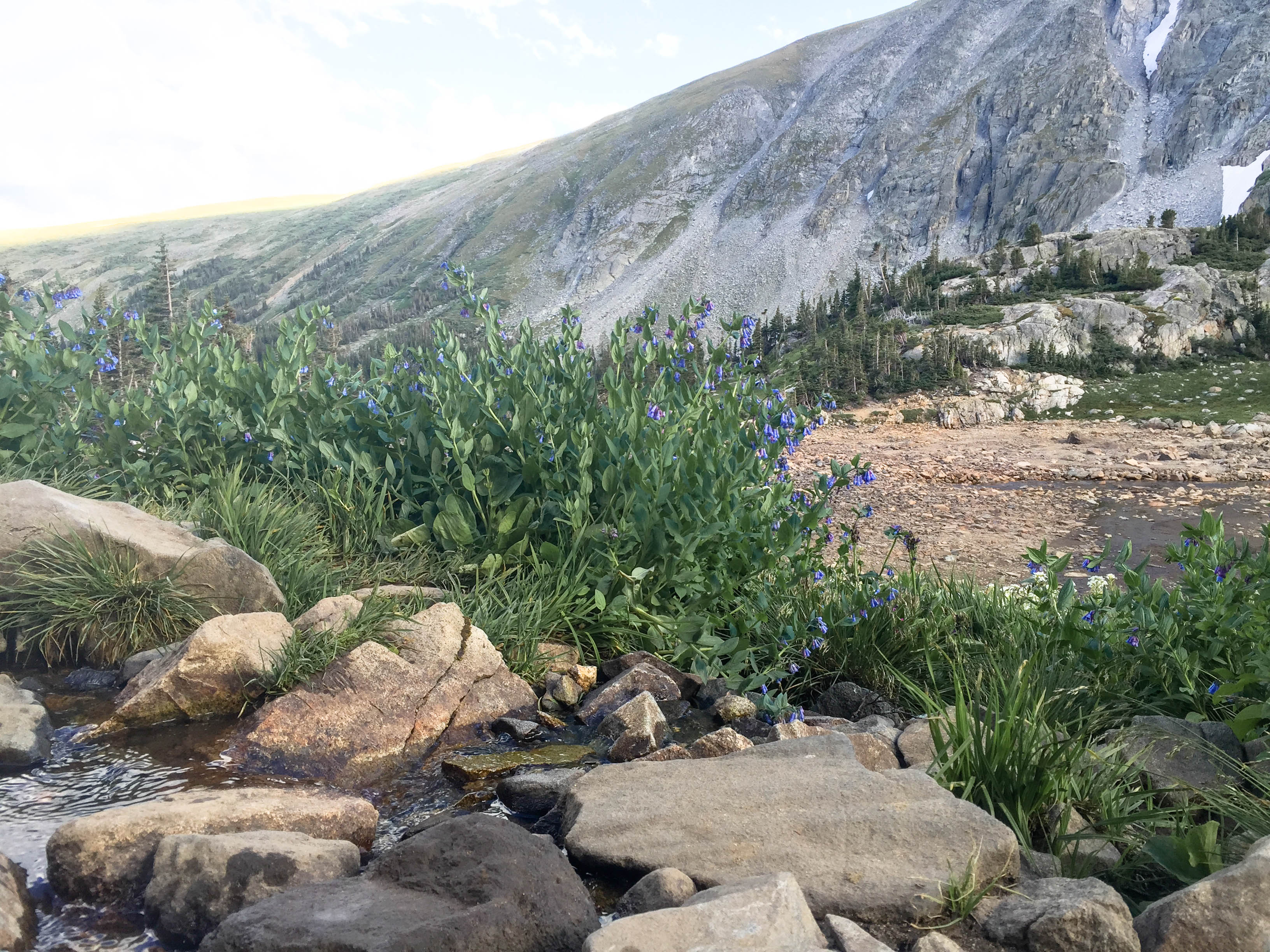 Indian Peaks Wilderness Trail in Boulder Colorado