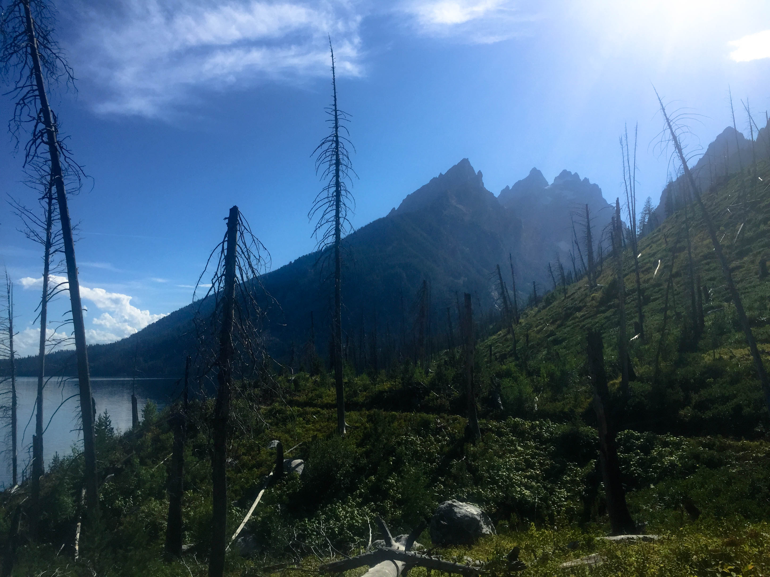 Hiking Jenny Lake in Grand Teton NP-3