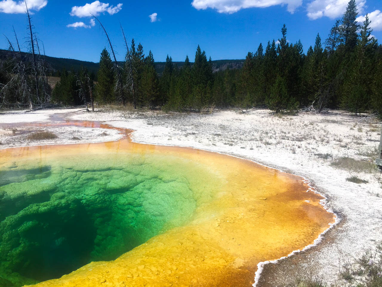 Morning Glory pool in Yellowstone National Park