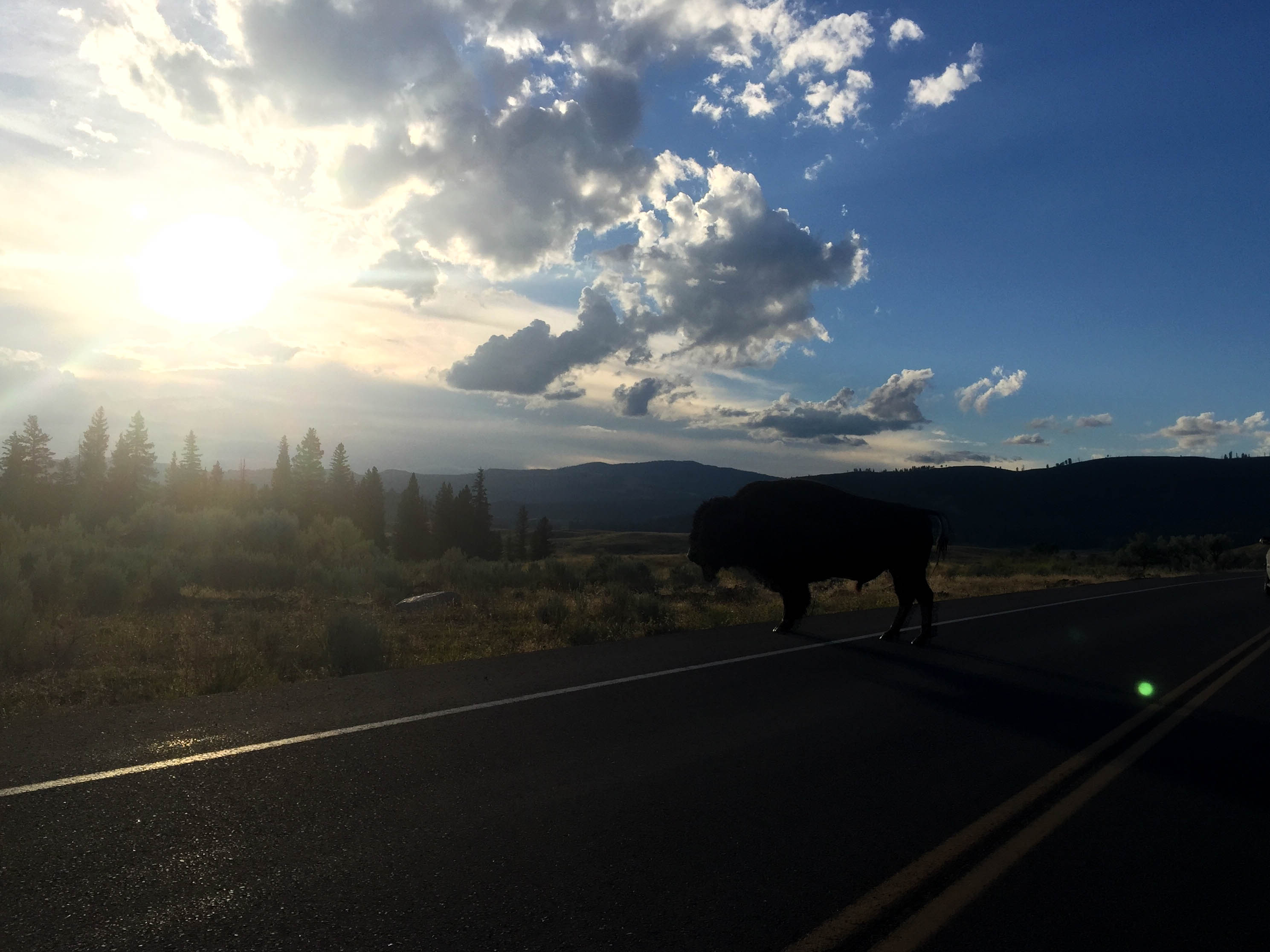 Things to see and do in Yellowstone National Park flip