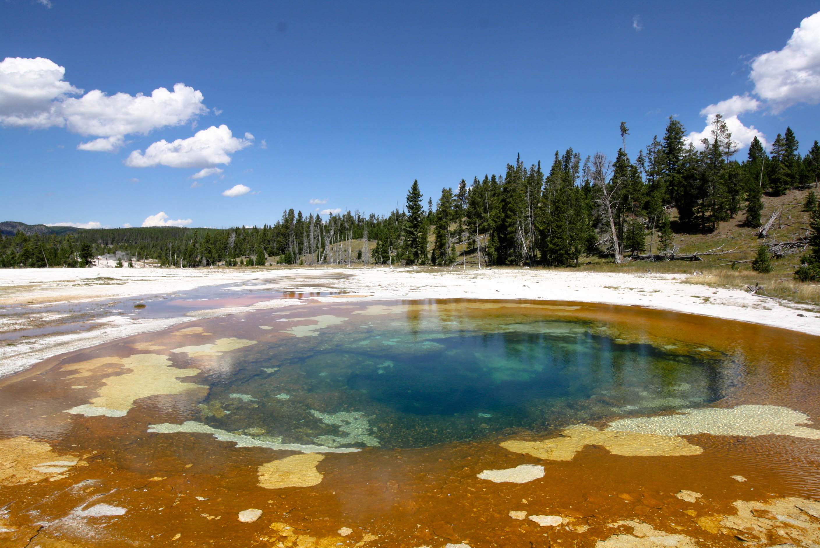 Geothermal Features in Yellowstone National Park: Springs