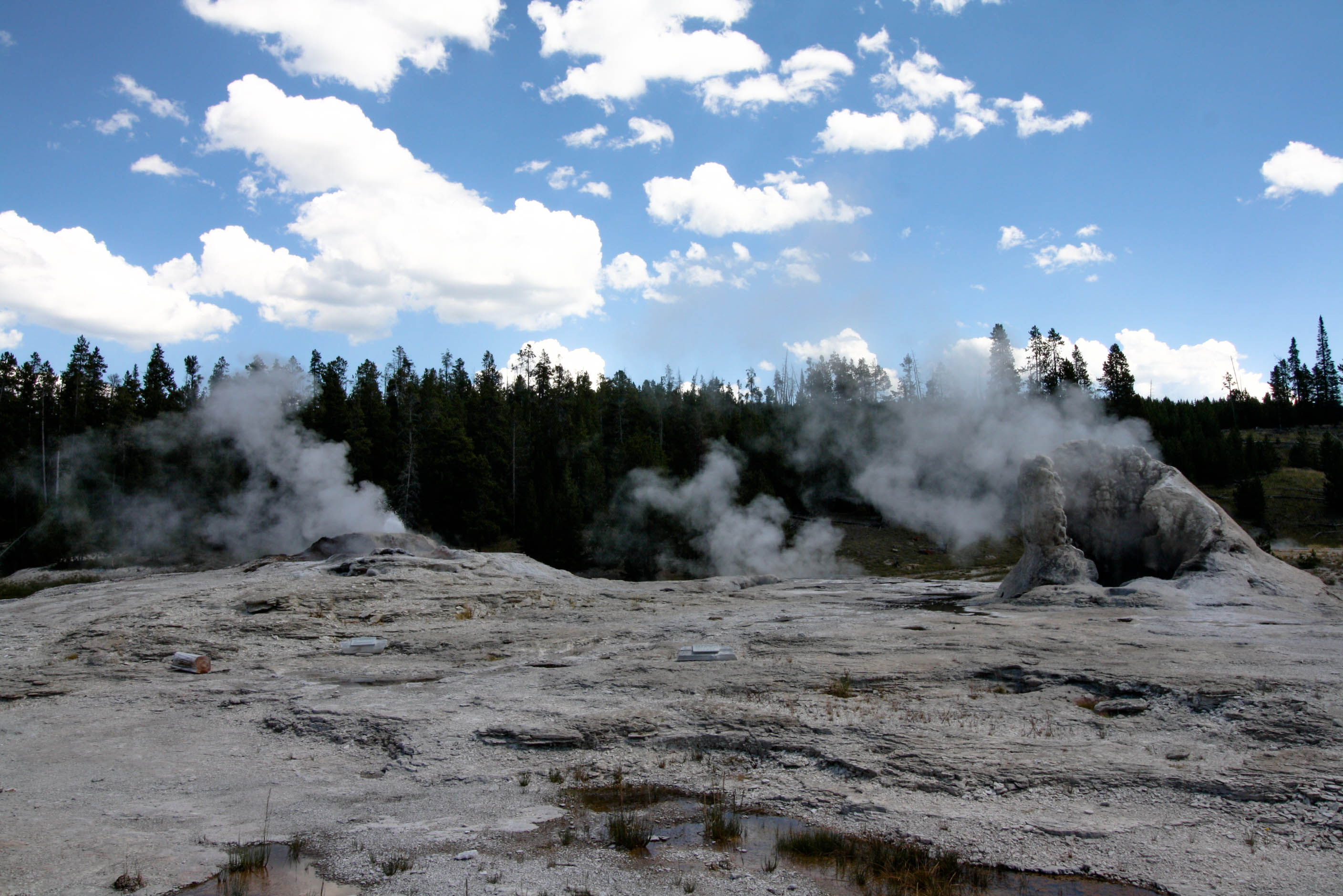 Yellowstone on an EPIC U.S. Road Trip-11