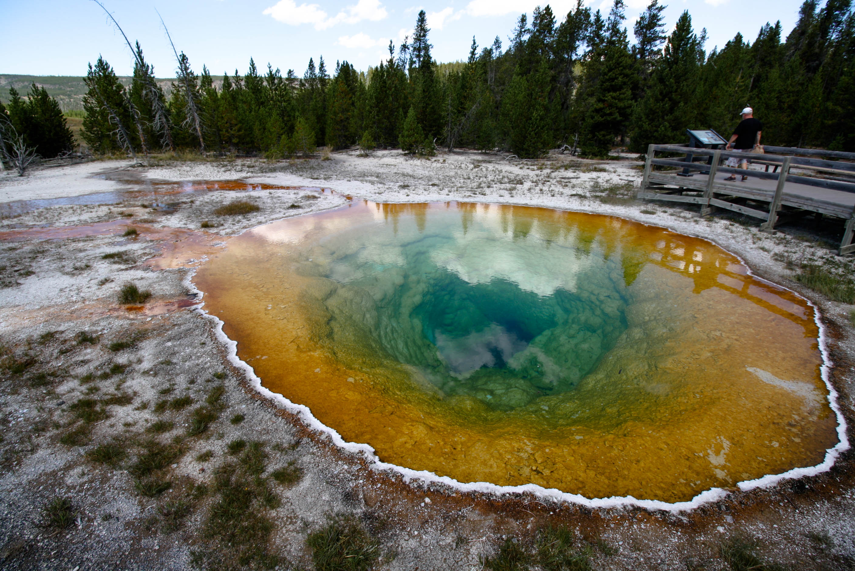 Morning Glory pool in Yellowstone National Park