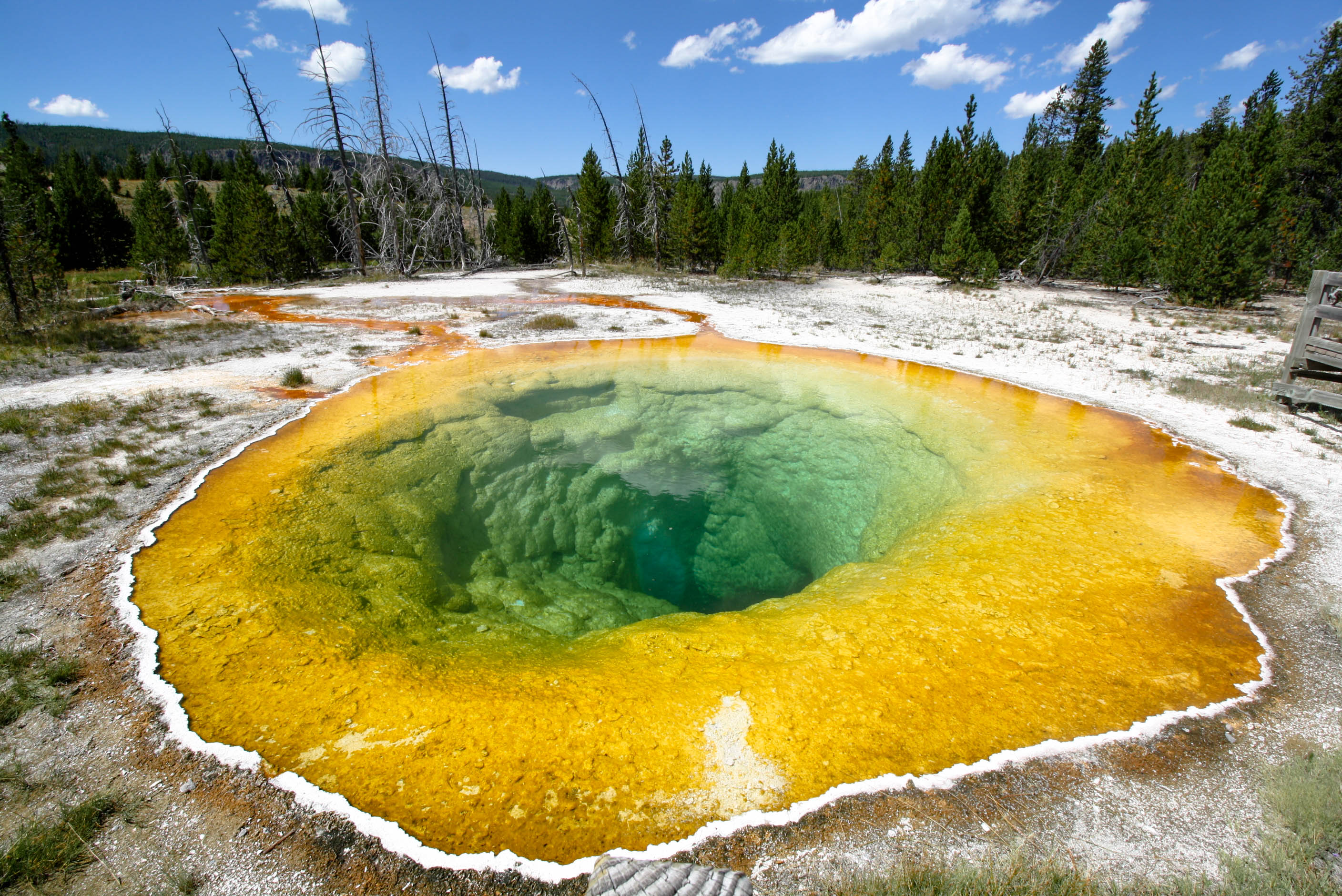 Morning Glory pool in Yellowstone National Park