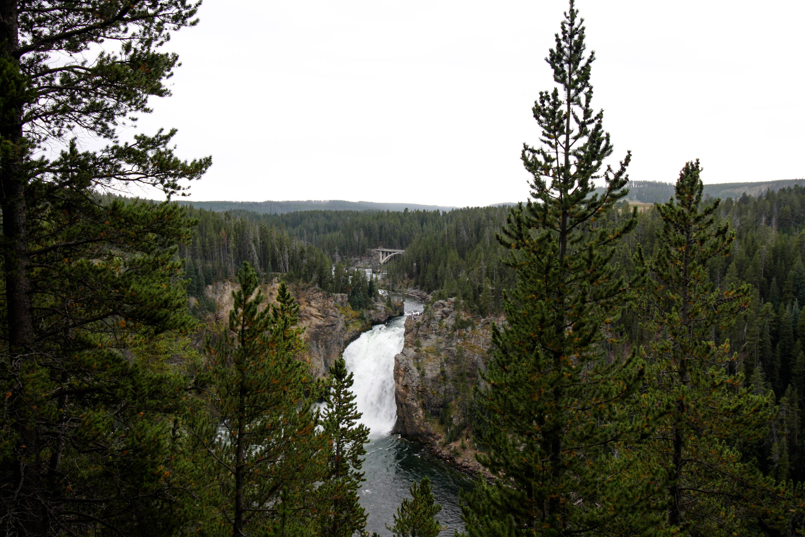 Yellowstone on an EPIC U.S. Road Trip-24