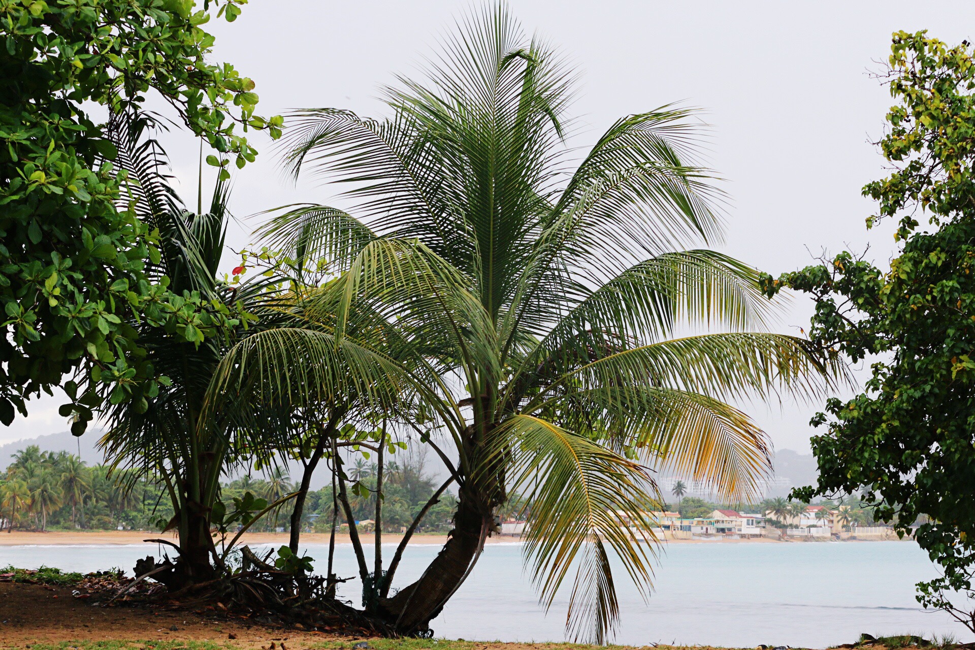 Loquillo Beach in Puerto Rico rainy day