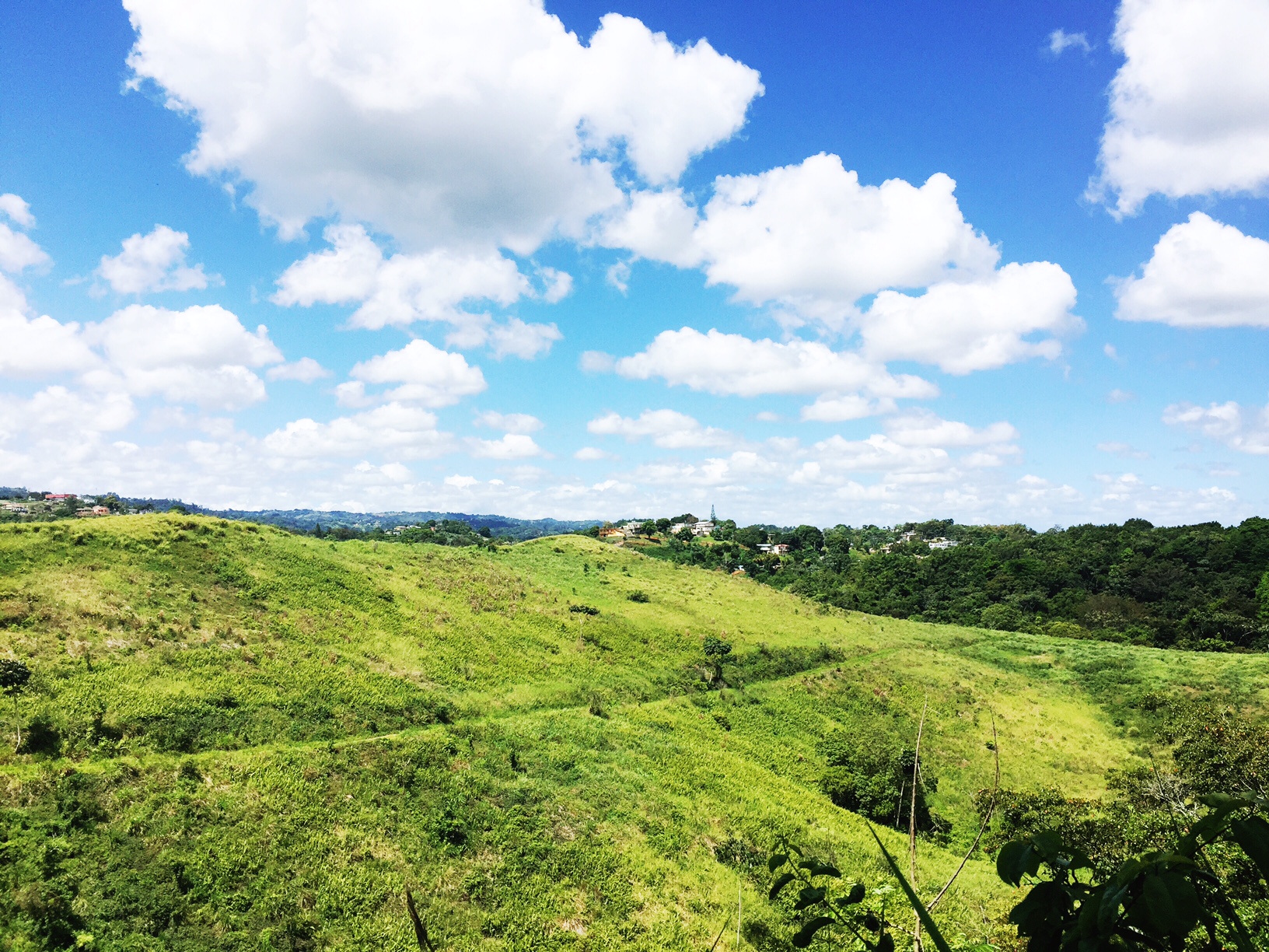 view from our ziplining trip in Puerto Rico