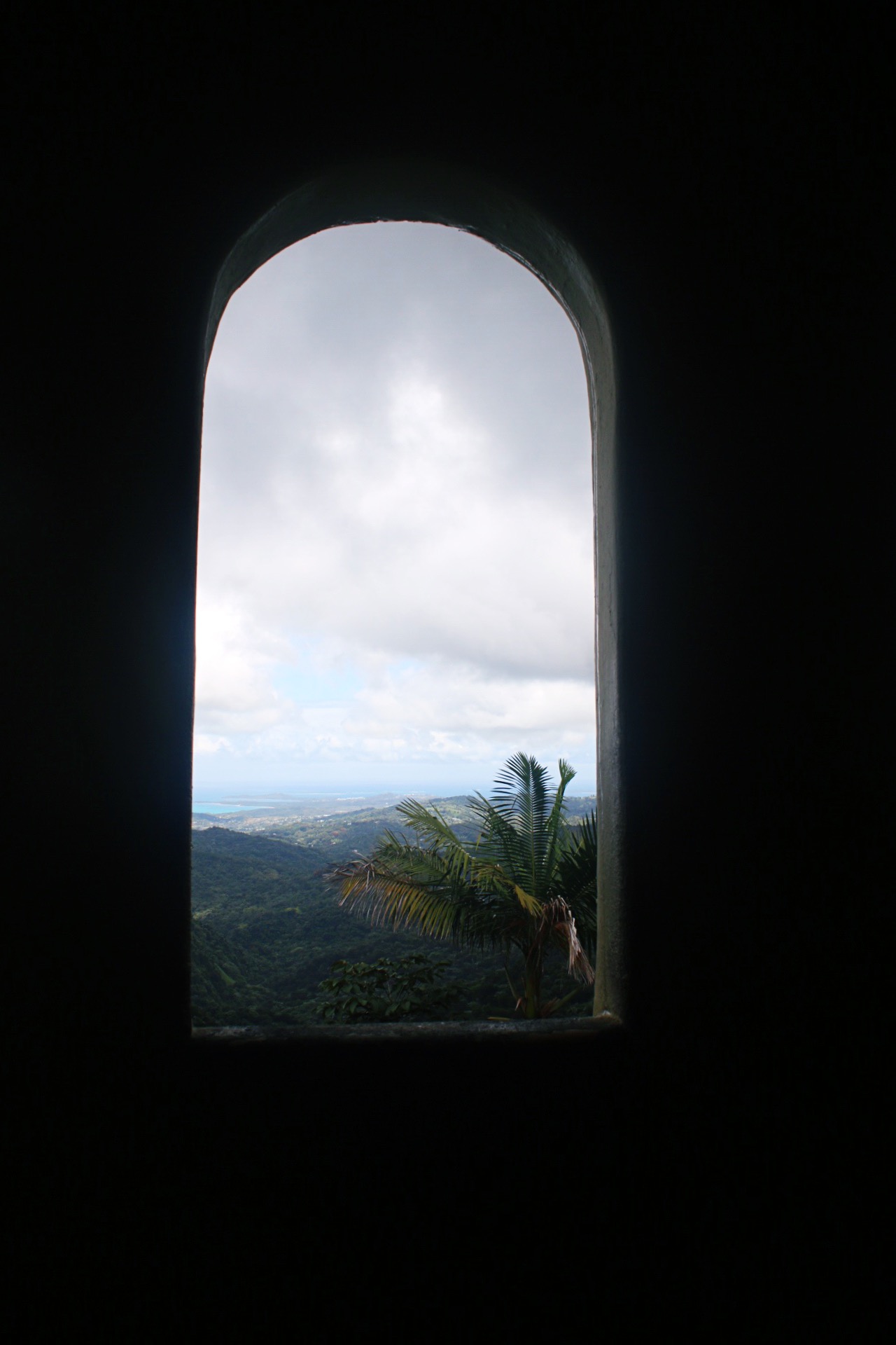 Window view from Yokahu Observation Tower in El Yunque Rainforst National Forest