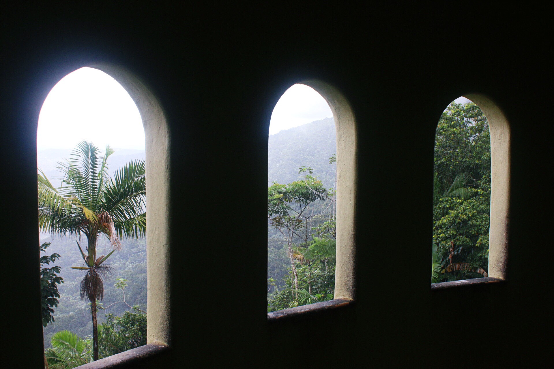 Yokahu Observation Tower in El Yunque Rainforst National Forest view from windows