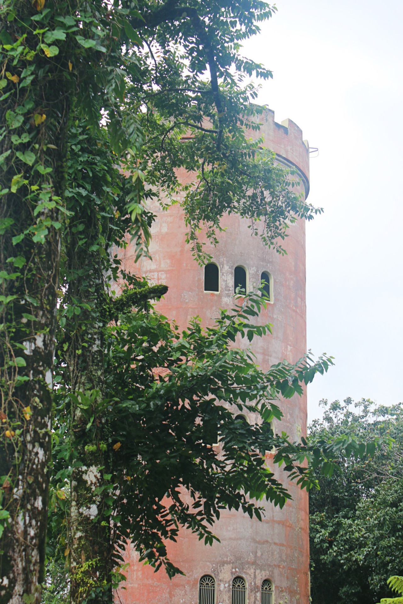 Yokahu Observation Tower in El Yunque Rainforst National Forest