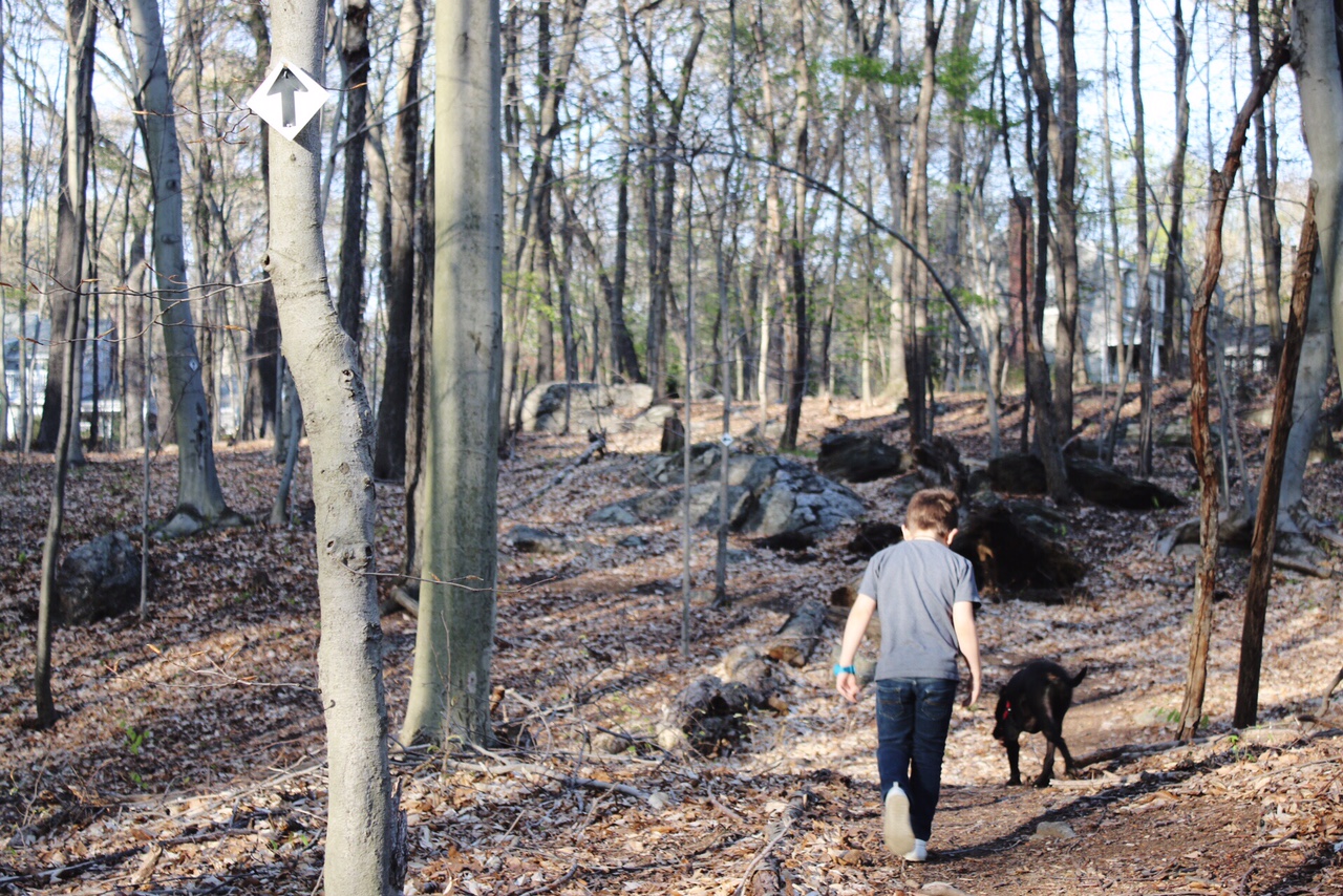 Hiking in Fairfield Connecticut Town of Fairfield Mill Hill Open Space Spring 2016