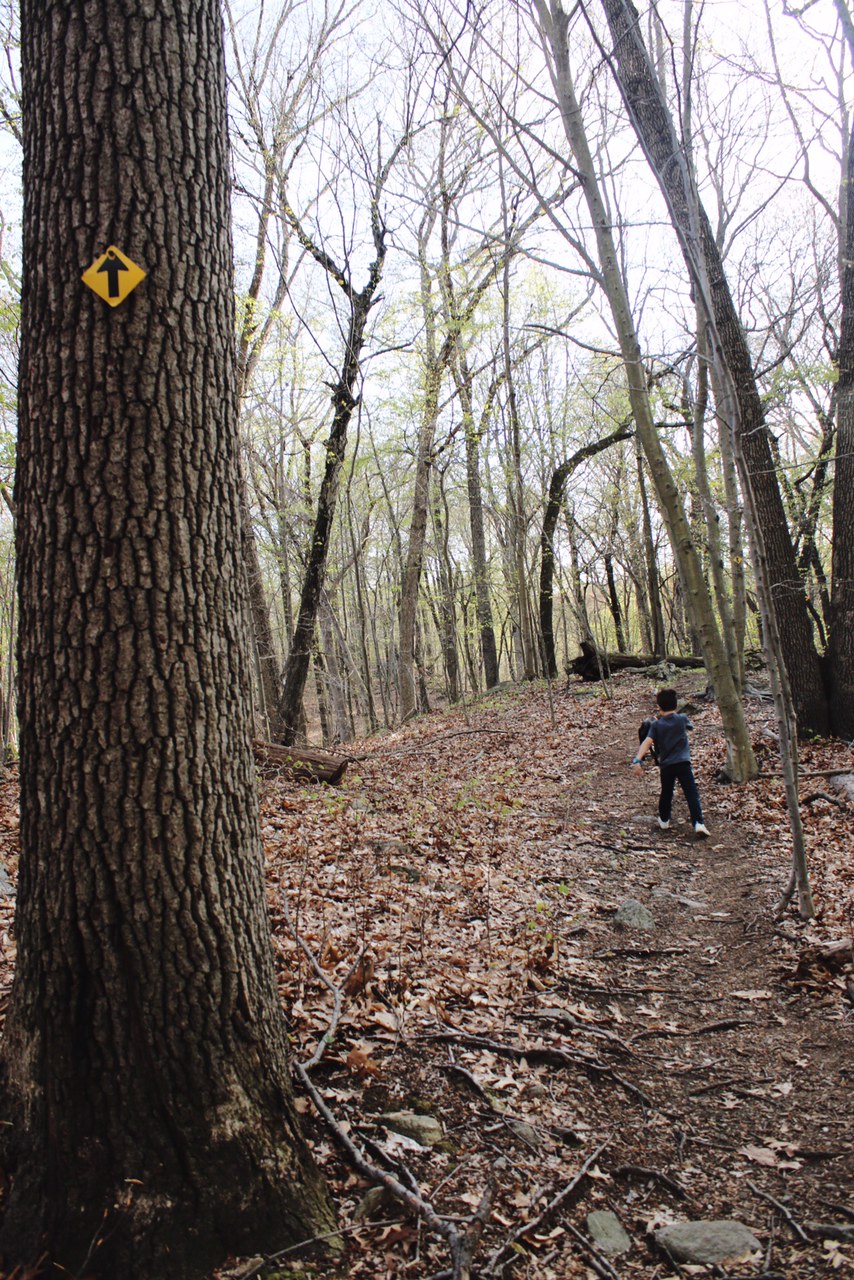 Hiking near Westport Town of Fairfield Mill Hill Open Space April 30