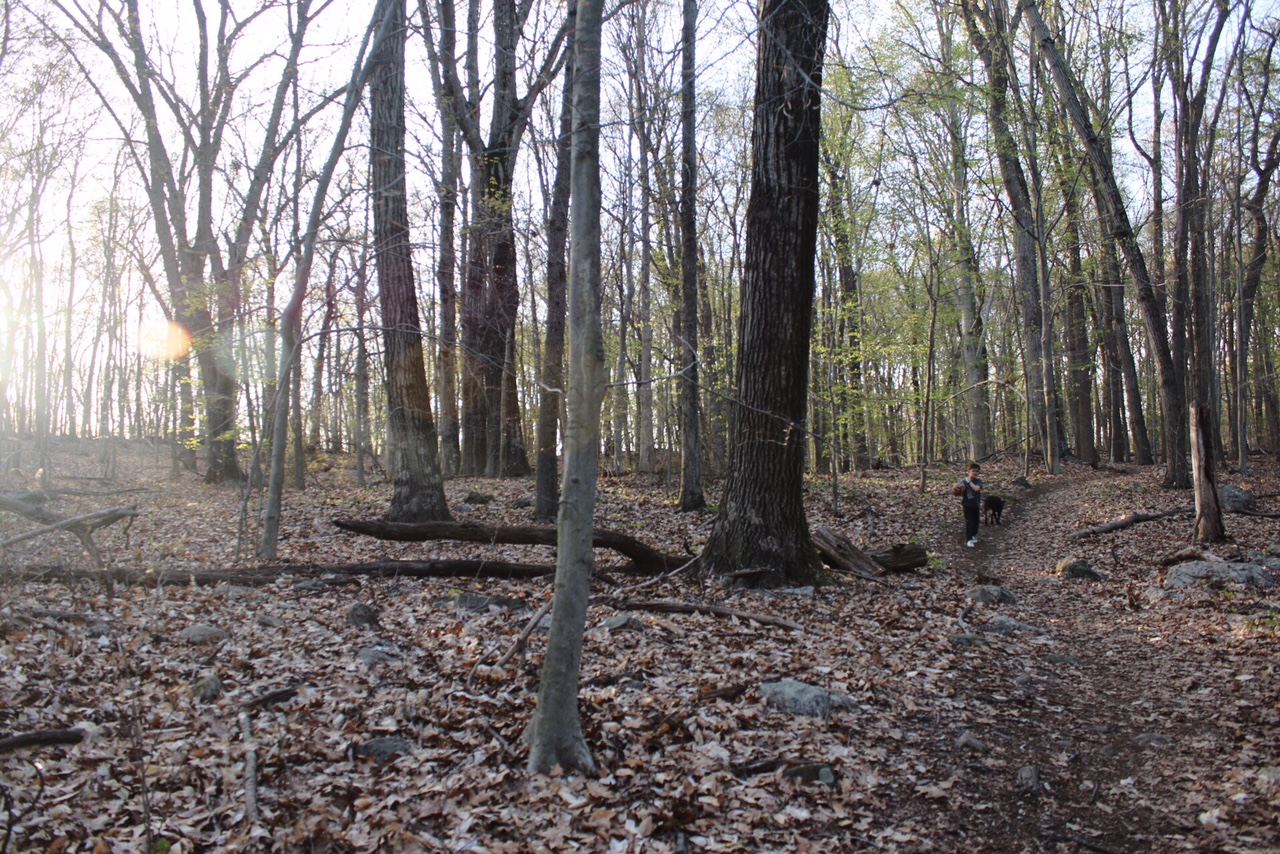 Hiking with kids in Southport Connecticut Town of Fairfield Mill Hill Open Space April 30