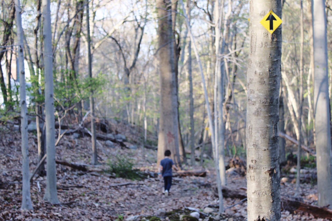 Hiking with kids near Westport and Fairfield CT