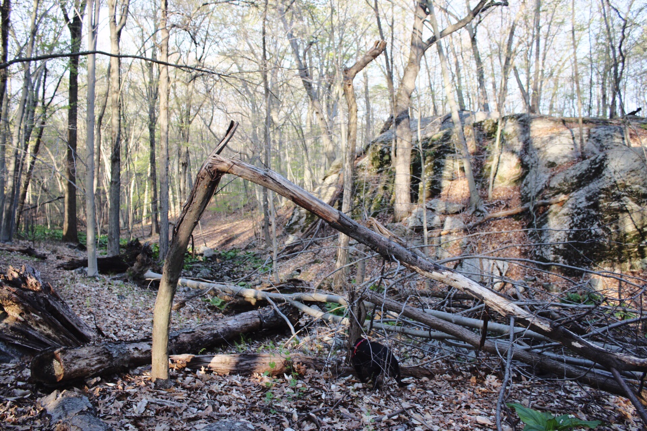 Town of Fairfield Mill Hill Open Space Hiking in Southport