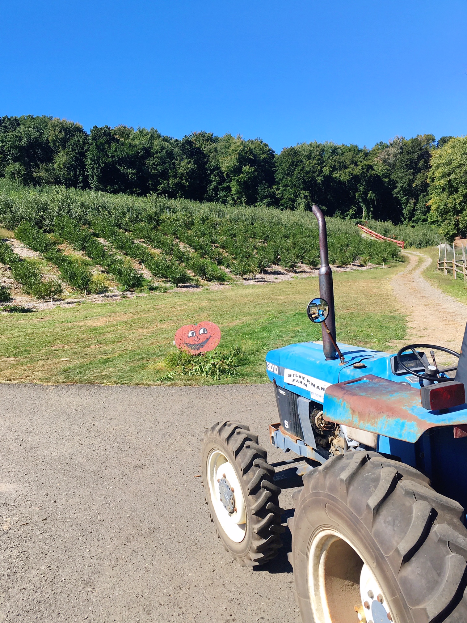 riding-a-tractor-to-go-apple-picking-in-fairifield-county-connecticut